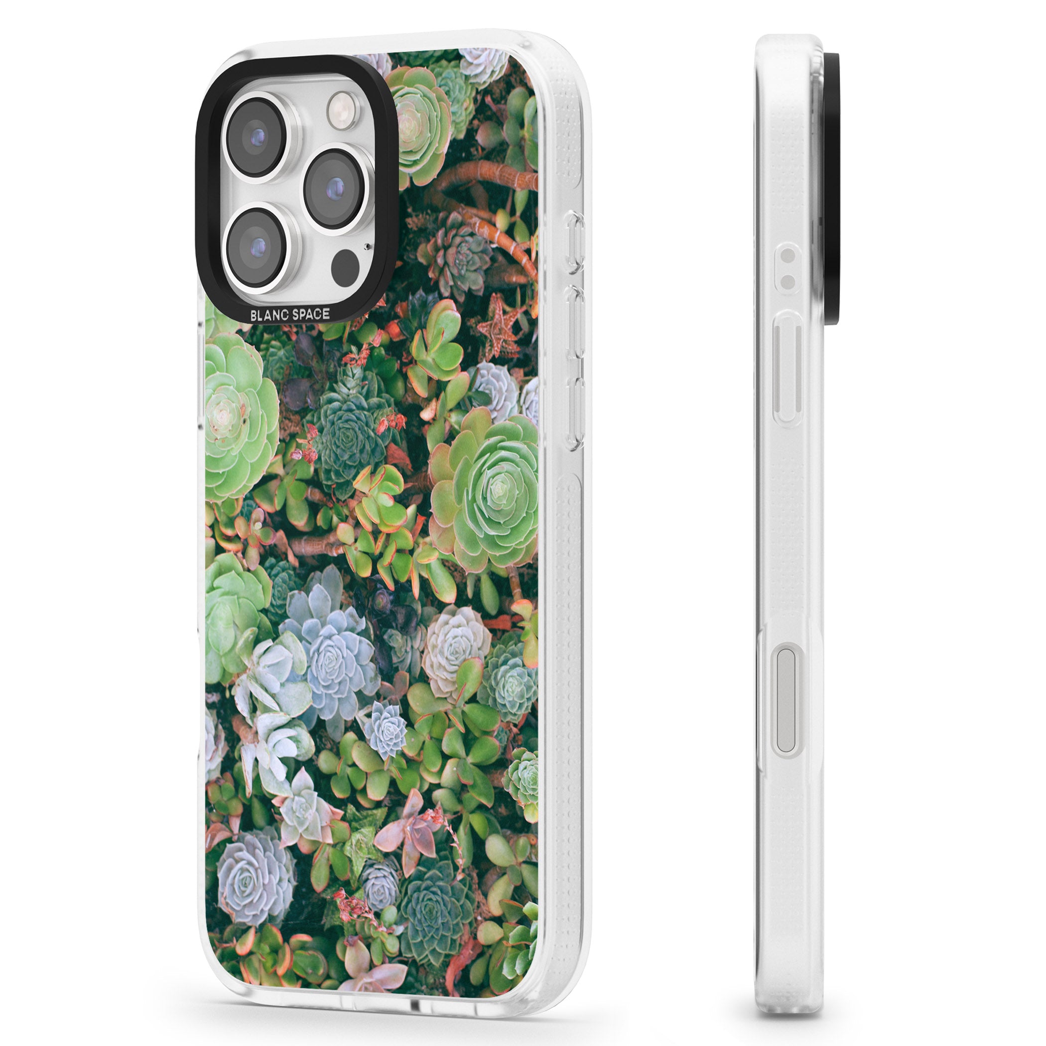 Colourful Succulents Photograph iPhone 16 Pro Max / 16 Pro Clear Case Impact Air - Blanc Space
