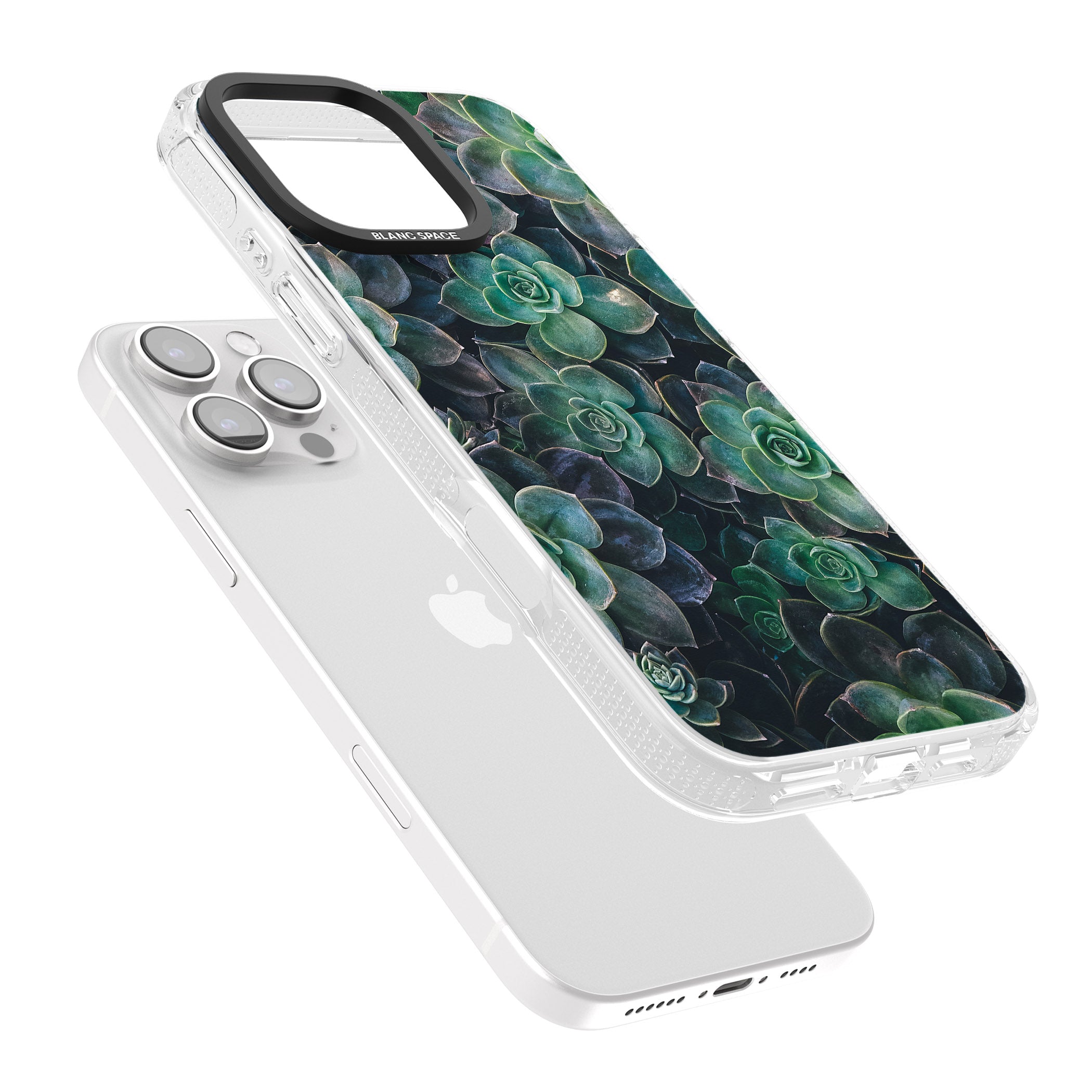 Succulents - Real Botanical Photographs iPhone 16 Pro Max / 16 Pro Clear Case Impact Air - Blanc Space