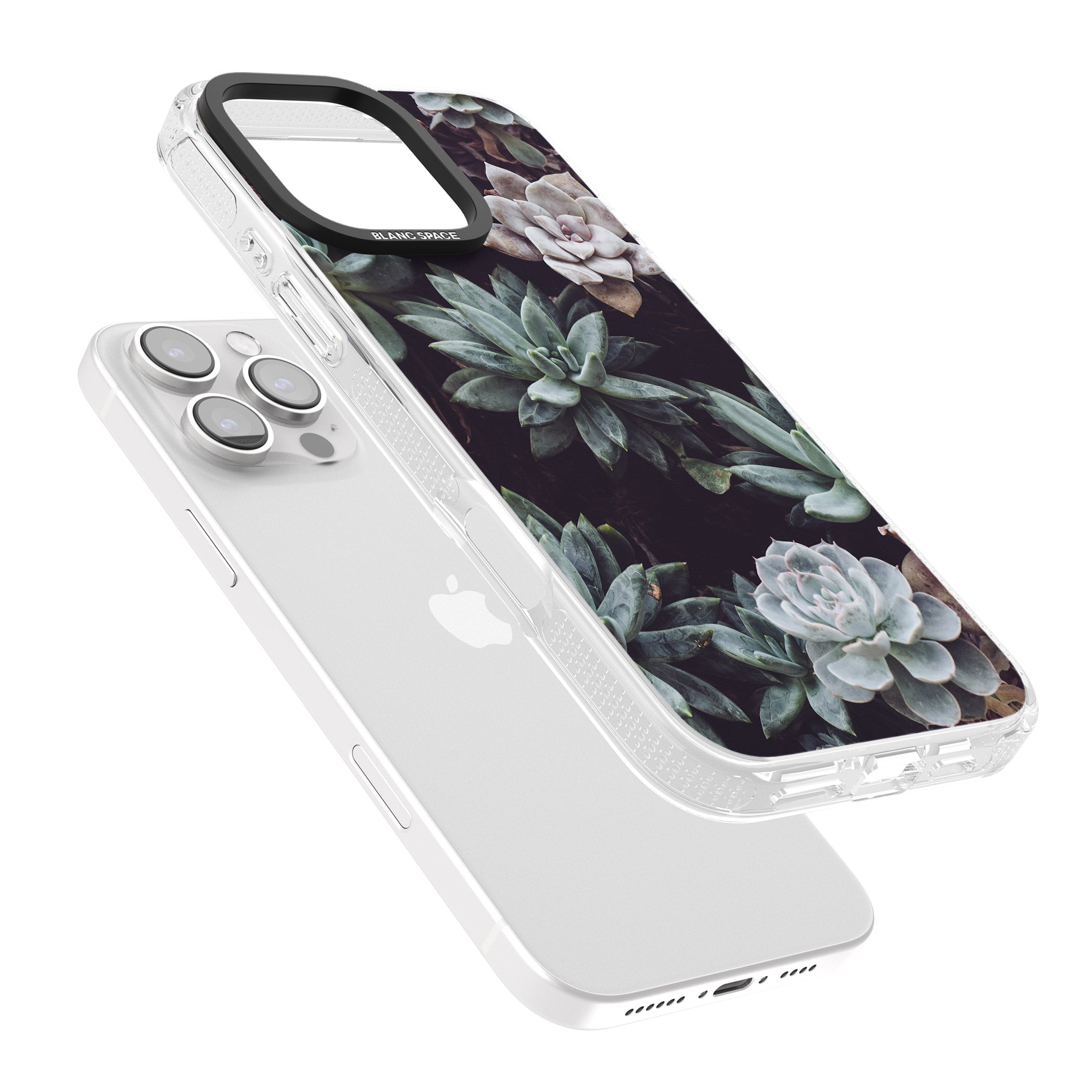 Mixed Succulents - Real Botanical Photographs iPhone 16 Pro Max / 16 Pro Clear Case Impact Air - Blanc Space
