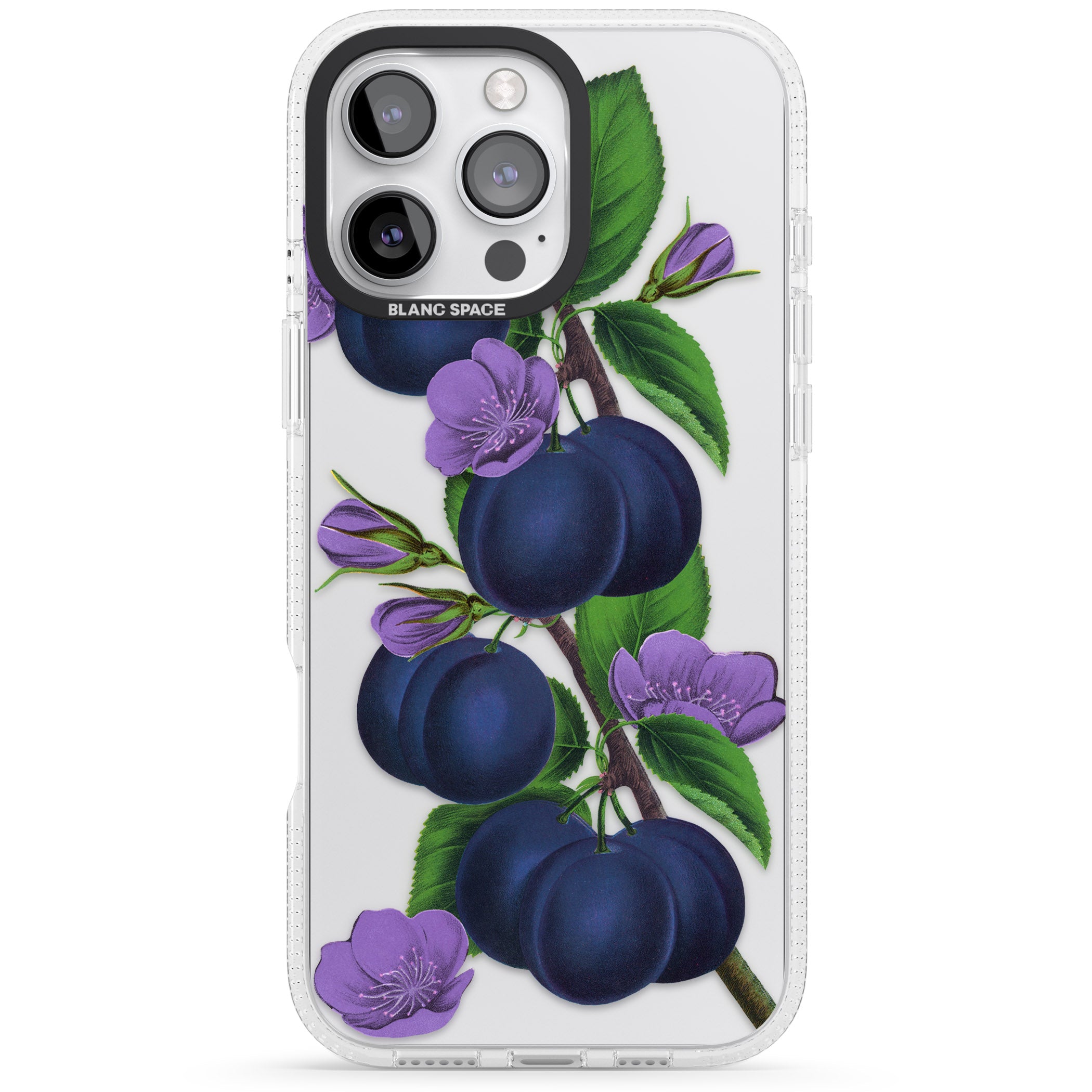 Vintage Painted Plums iPhone 16 Pro Max / 16 Pro Clear Case Impact Air - Blanc Space