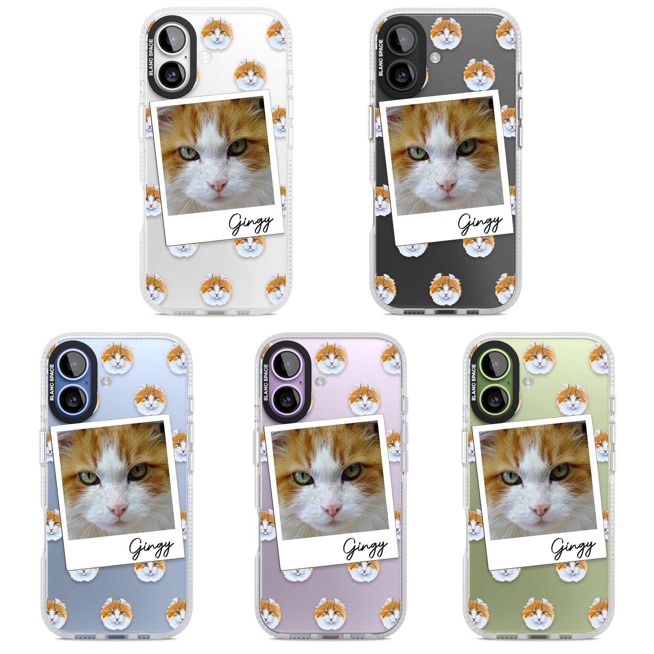 Personalised American Curl Photo iPhone 17 Impact Air Clear Phone Case APT Impact Protection