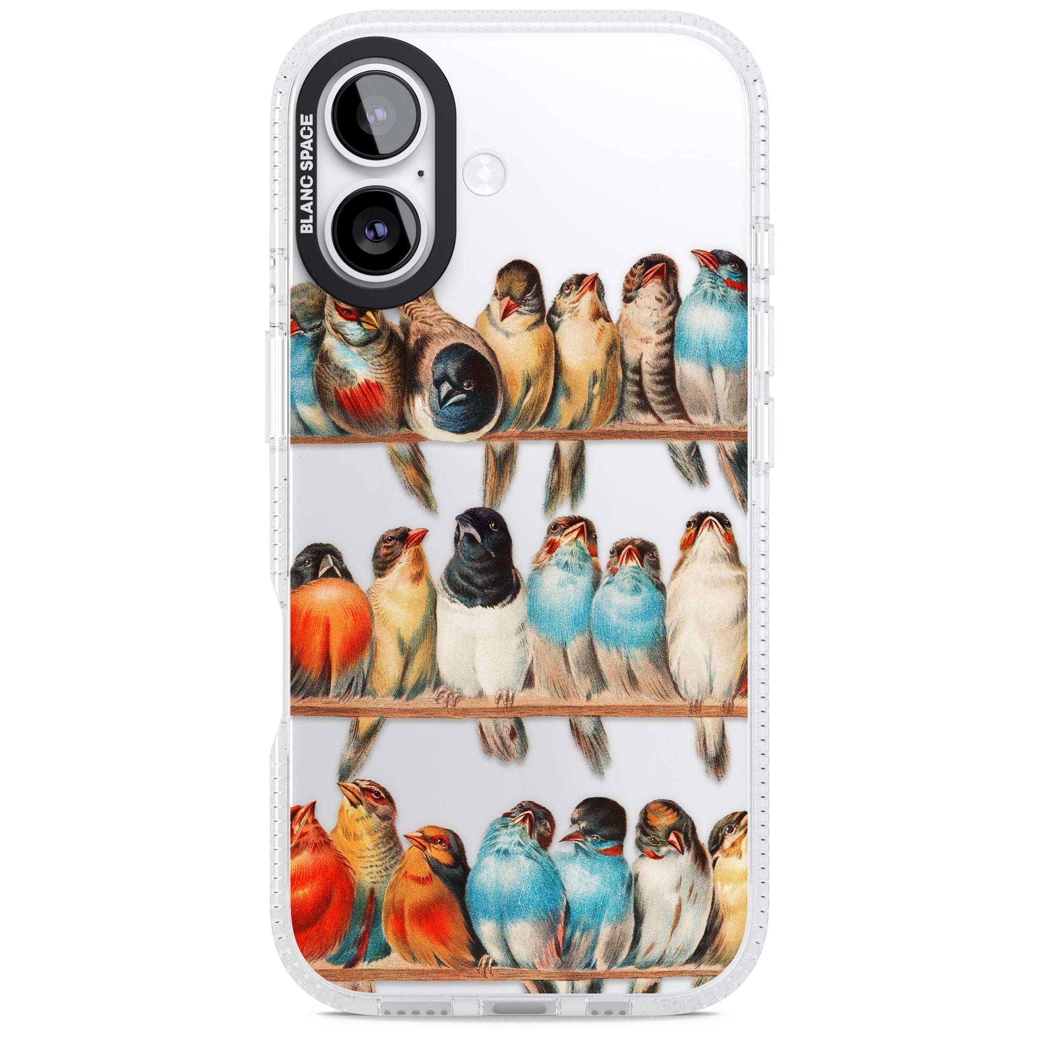 A Perch Of Birds iPhone 17 Impact Air Clear Phone Case