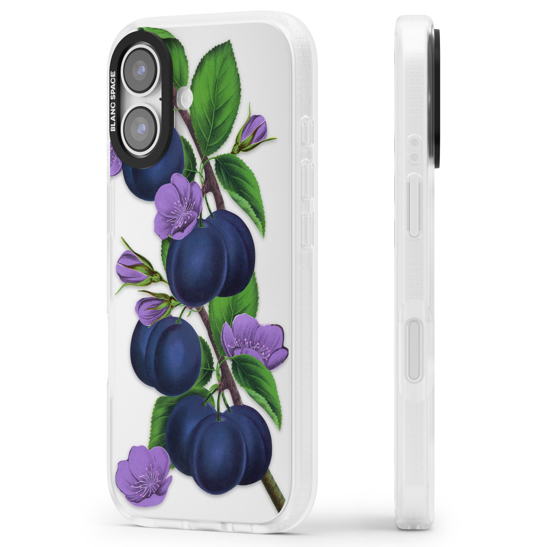Vintage Painted Plums iPhone 17 Impact Air Clear Phone Case Side Profile