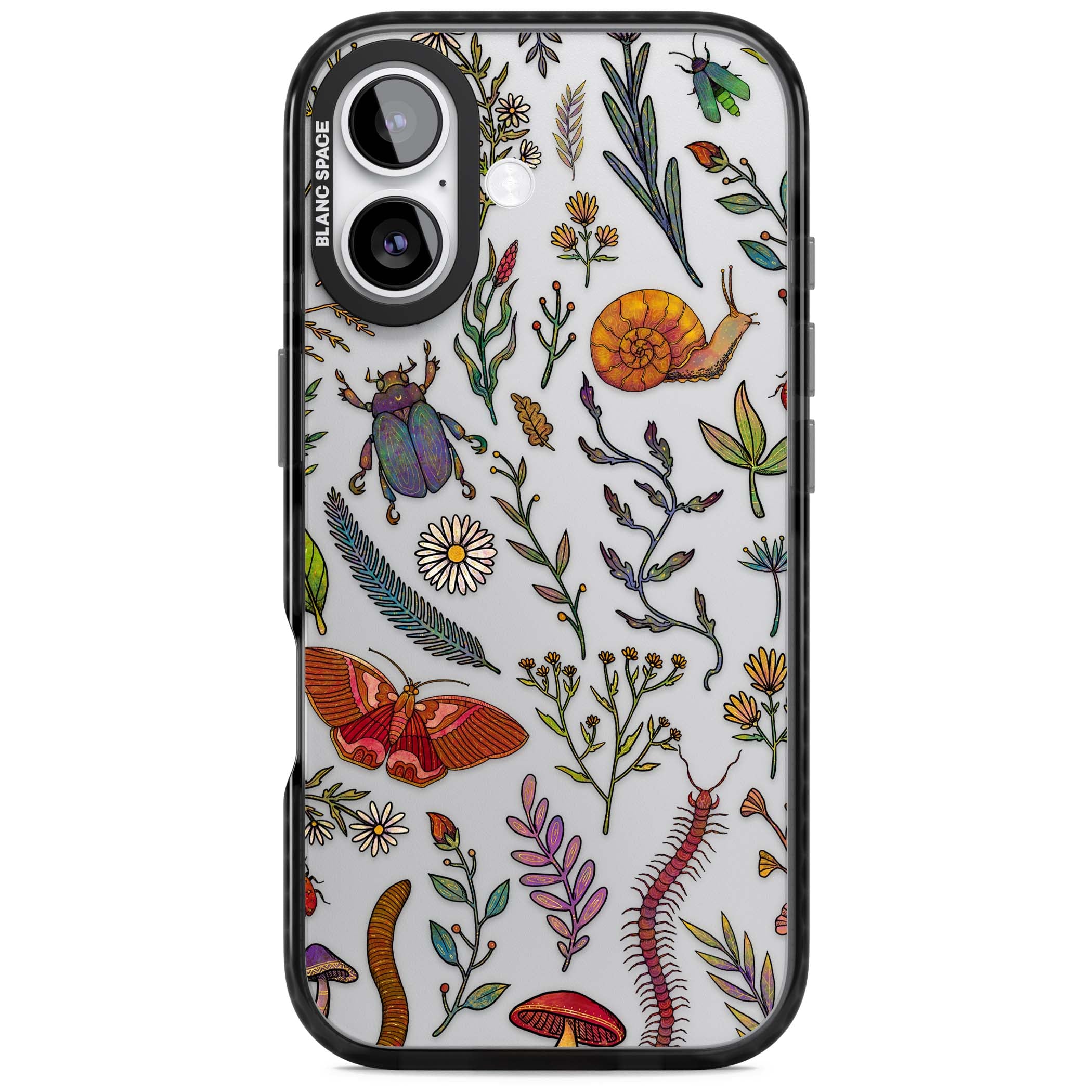 Bugs & Wildflowers