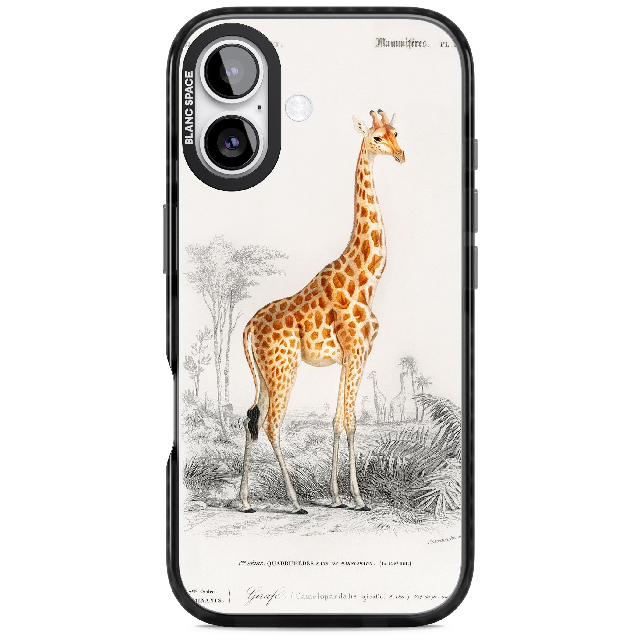 Vintage Giraffe Art iPhone 17 Impact Black Phone Case
