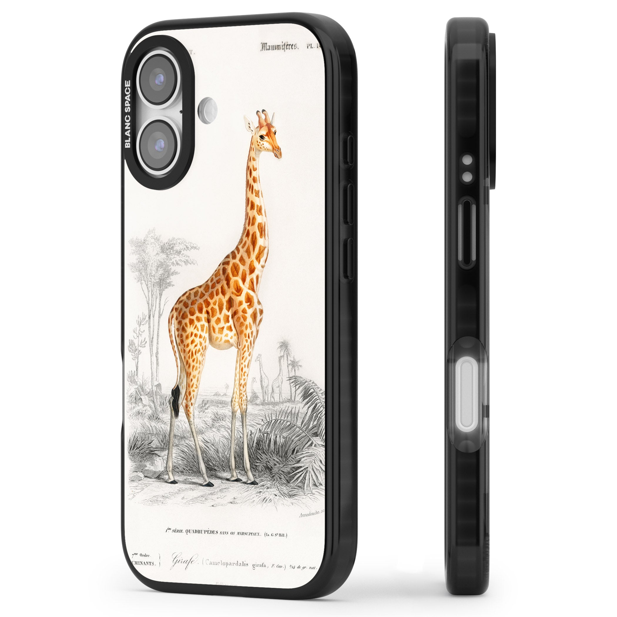 Vintage Giraffe Art iPhone 17 Impact Black Phone Case Side Profile