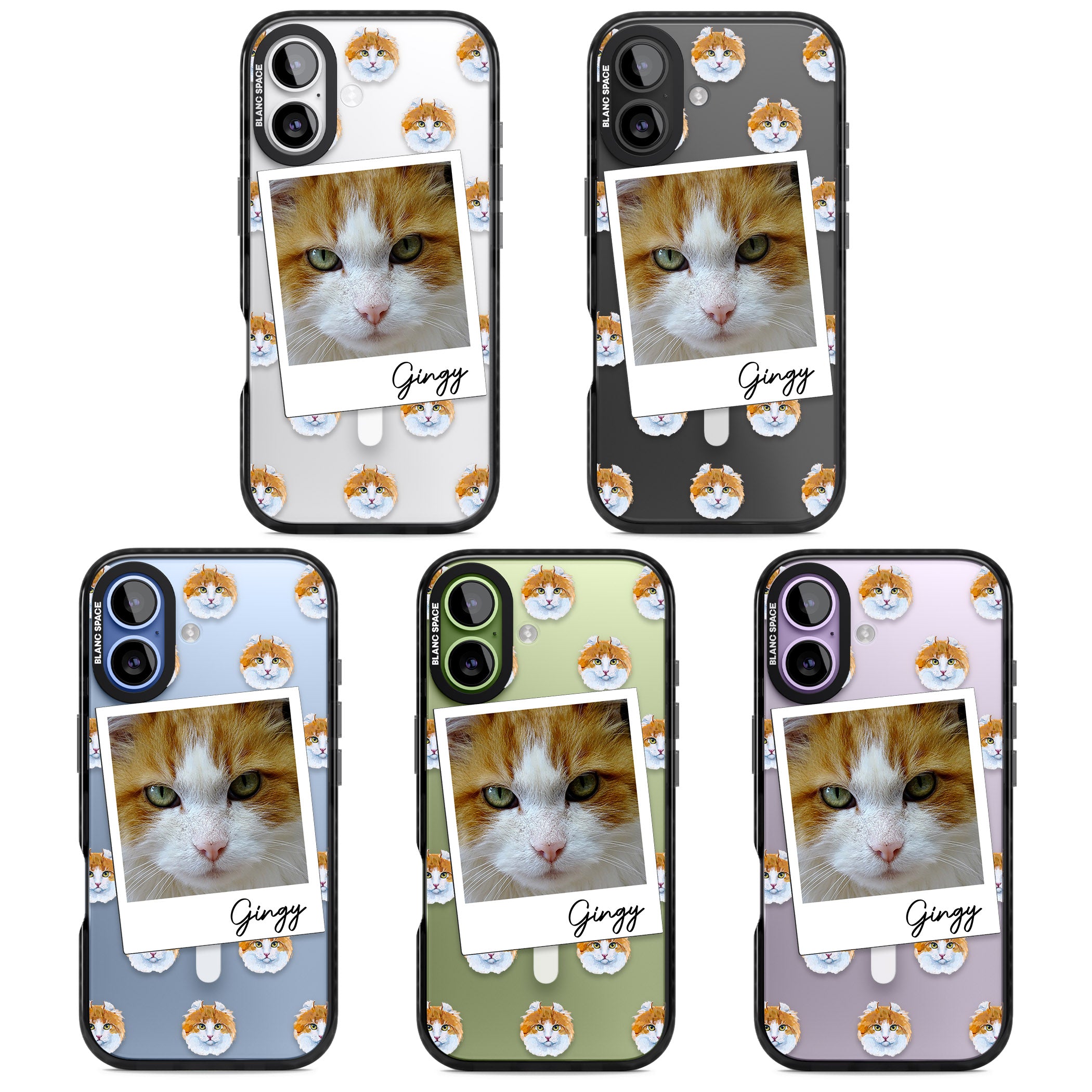 Personalised American Curl Photo iPhone 17 Impact Pro Black Phone Case APT Impact Protection