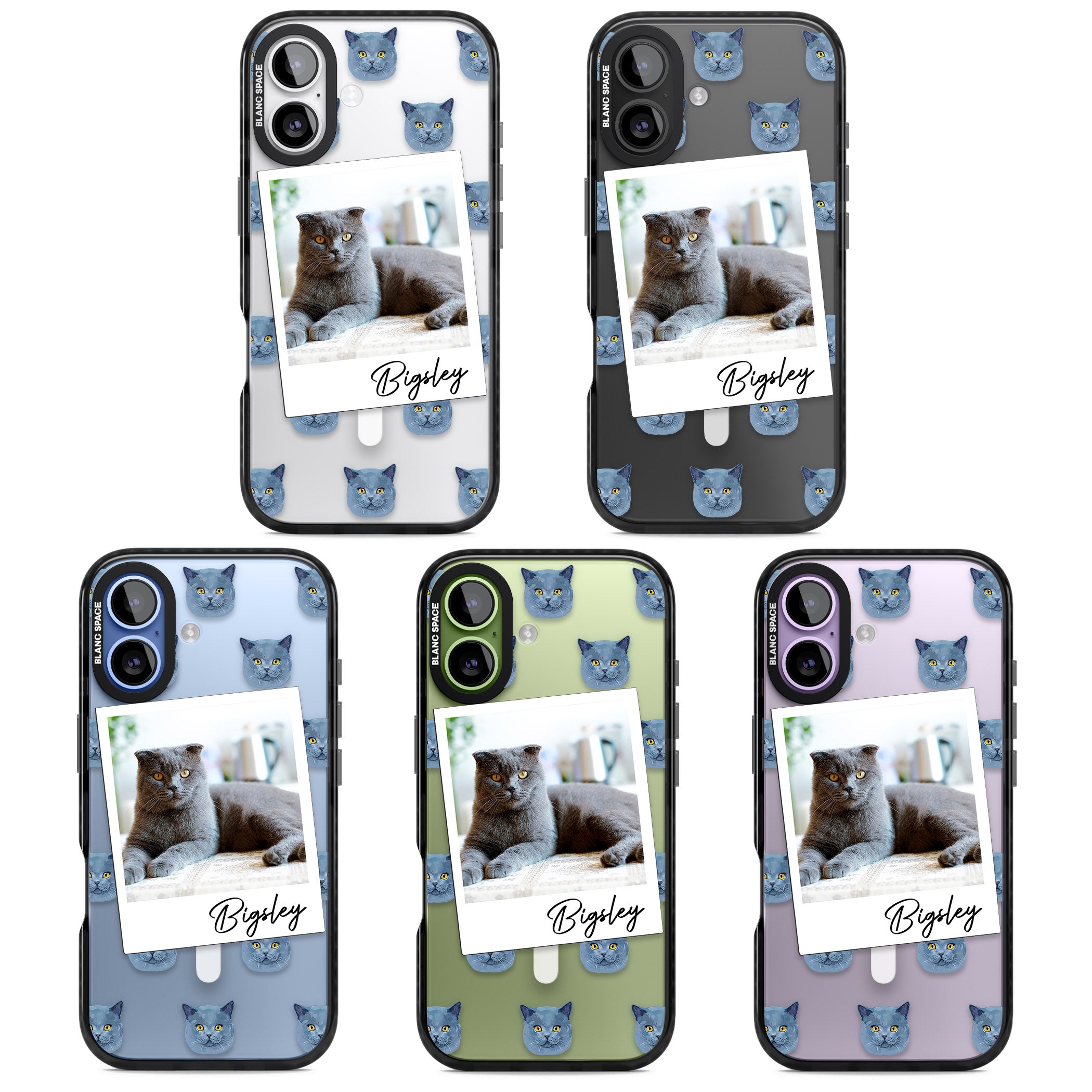 Personalised English Blue Cat Photo iPhone 17 Impact Pro Black Phone Case APT Impact Protection