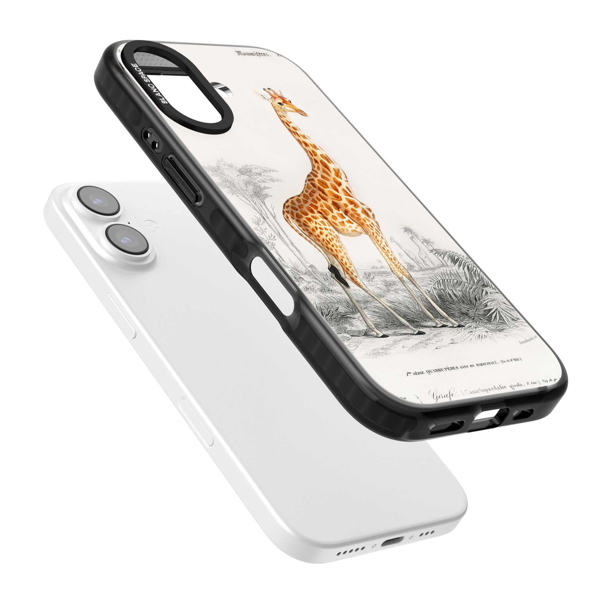 Vintage Giraffe Art iPhone 17 Impact Pro Black Phone Case Colours