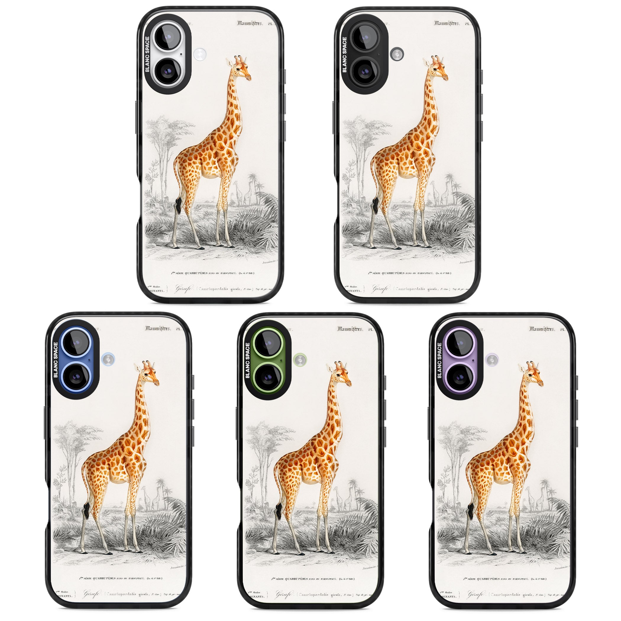 Vintage Giraffe Art iPhone 17 Impact Pro Black Phone Case APT Impact Protection
