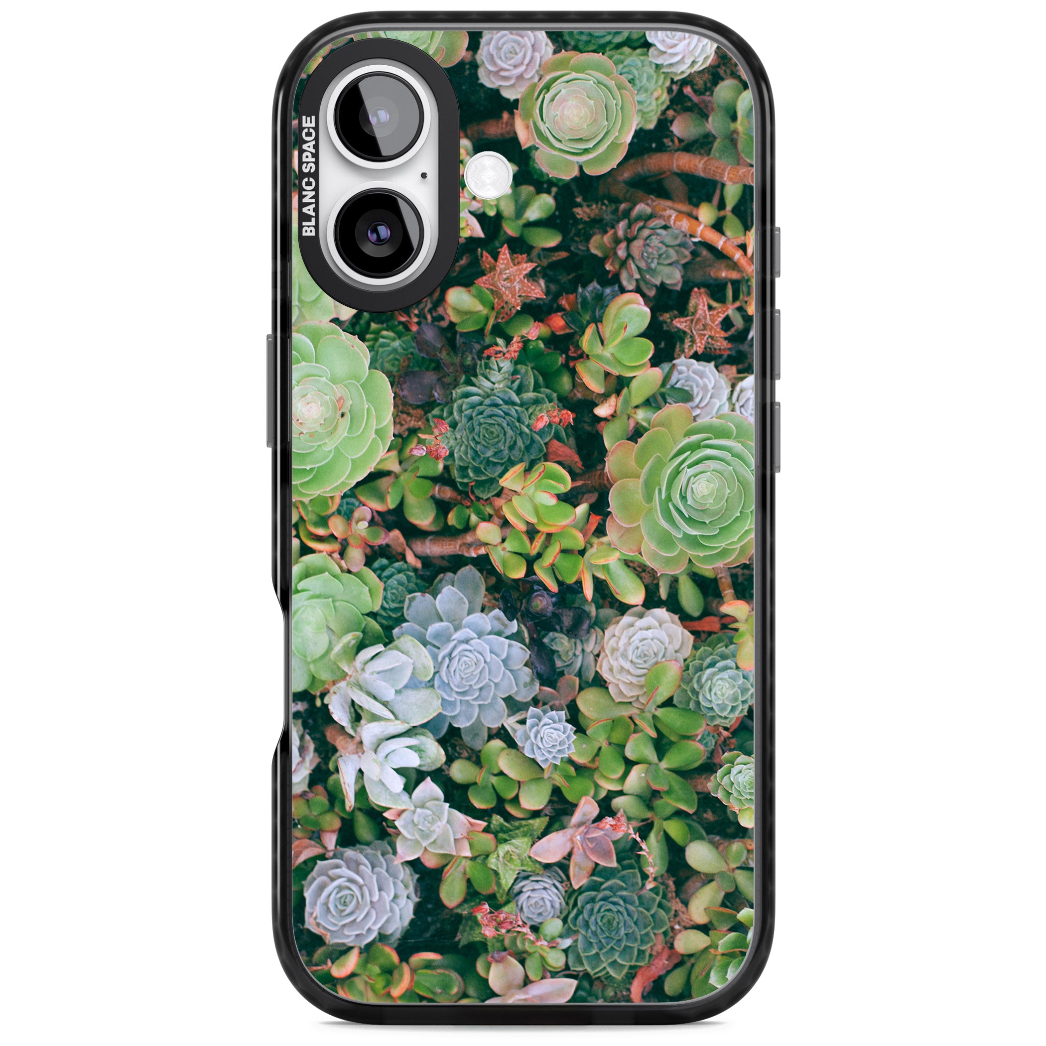 Succulent Garden iPhone 17 Impact Pro Black Phone Case
