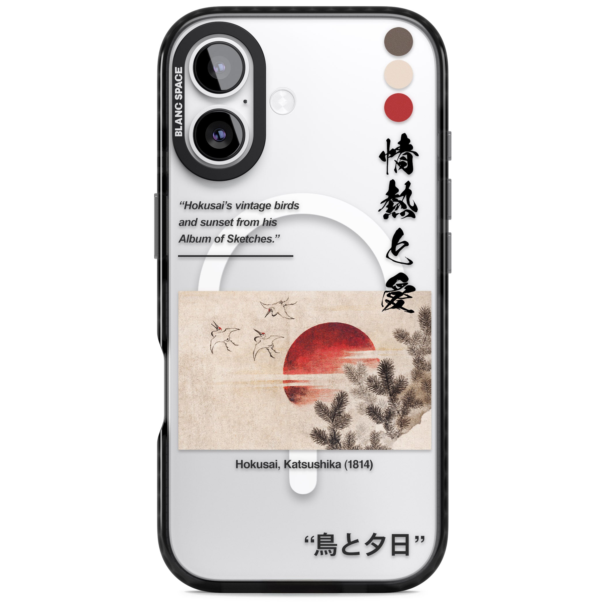 Birds And Sunset iPhone 17 Impact Pro Black Phone Case