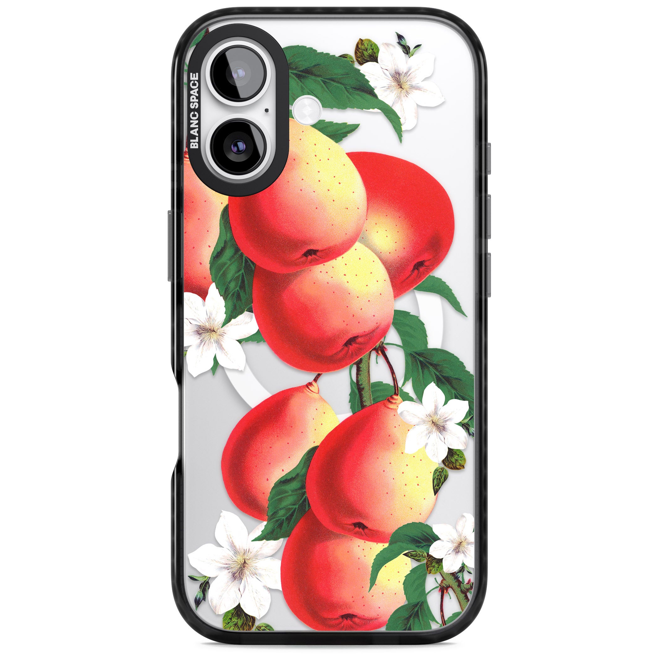 Vintage Painted Peaches iPhone 17 Impact Pro Black Phone Case
