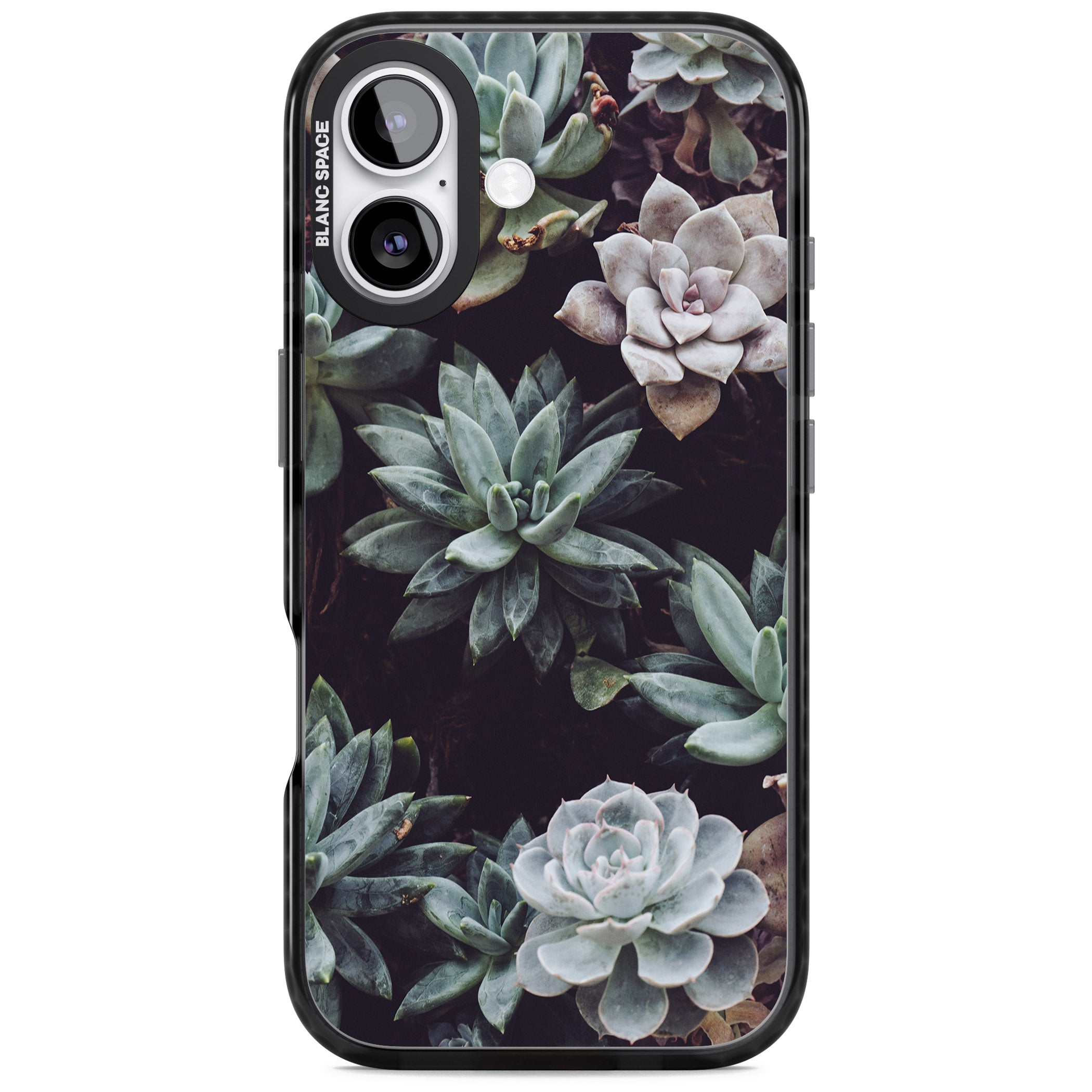 Succulent Bloom Mixed iPhone 17 Impact Black Phone Case
