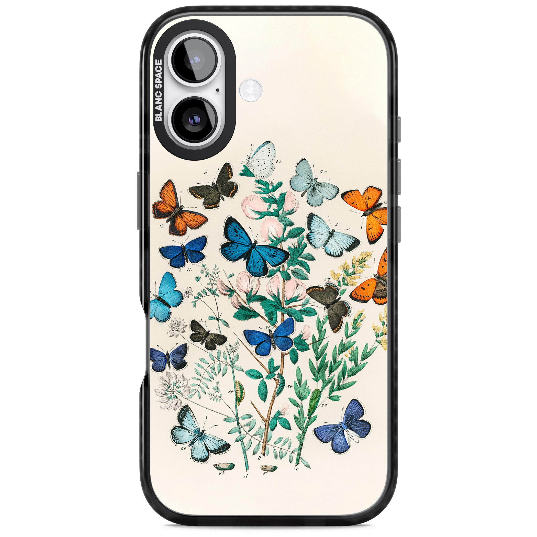 European Butterflies iPhone 17 Impact Black Phone Case