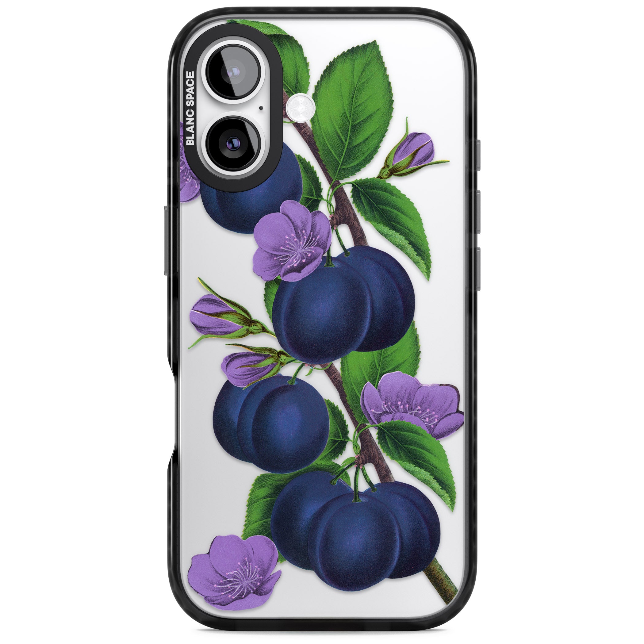 Vintage Painted Plums iPhone 17 Impact Black Phone Case