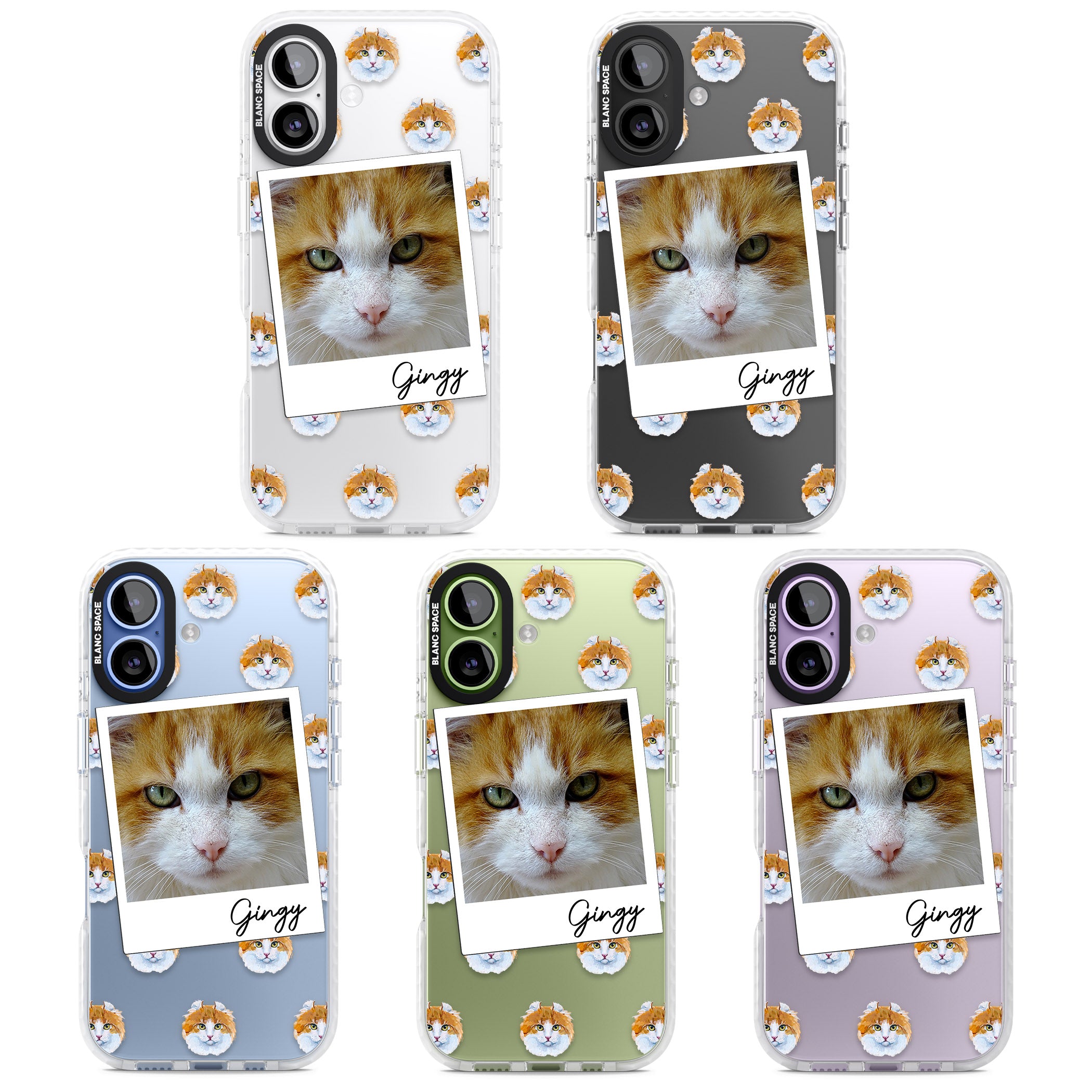 Personalised American Curl Photo iPhone 17 Impact Clear Phone Case APT Impact Protection