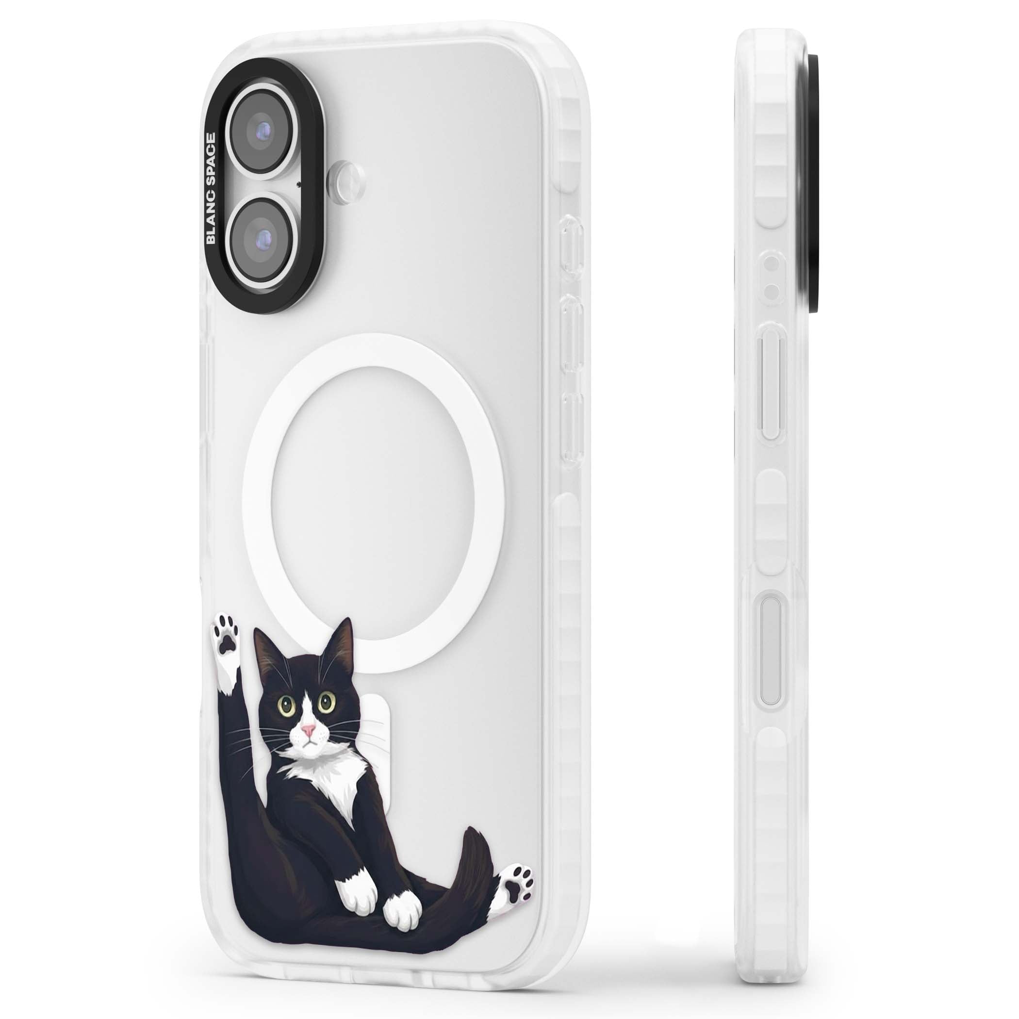 Mid-Groom Cat animals iPhone case | Impact Magsafe case for iPhone 17