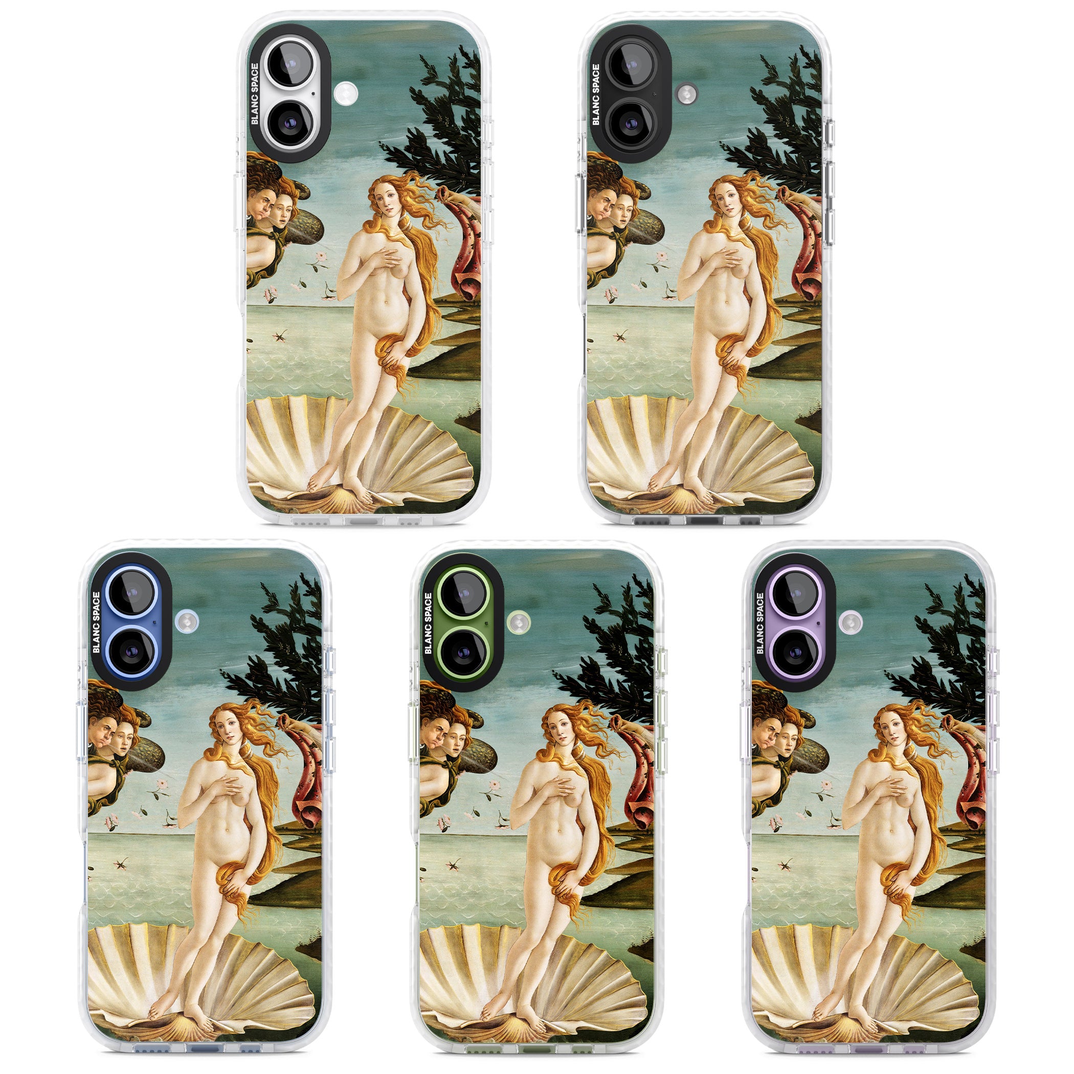 The Birth of Venus - Sandro Botticelli iPhone 17 Impact Pro Clear Phone Case APT Impact Protection