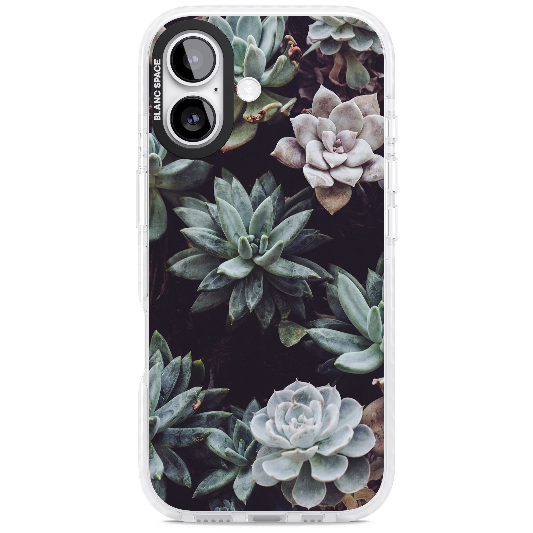 Succulent Bloom Mixed iPhone 17 Impact Pro Clear Phone Case