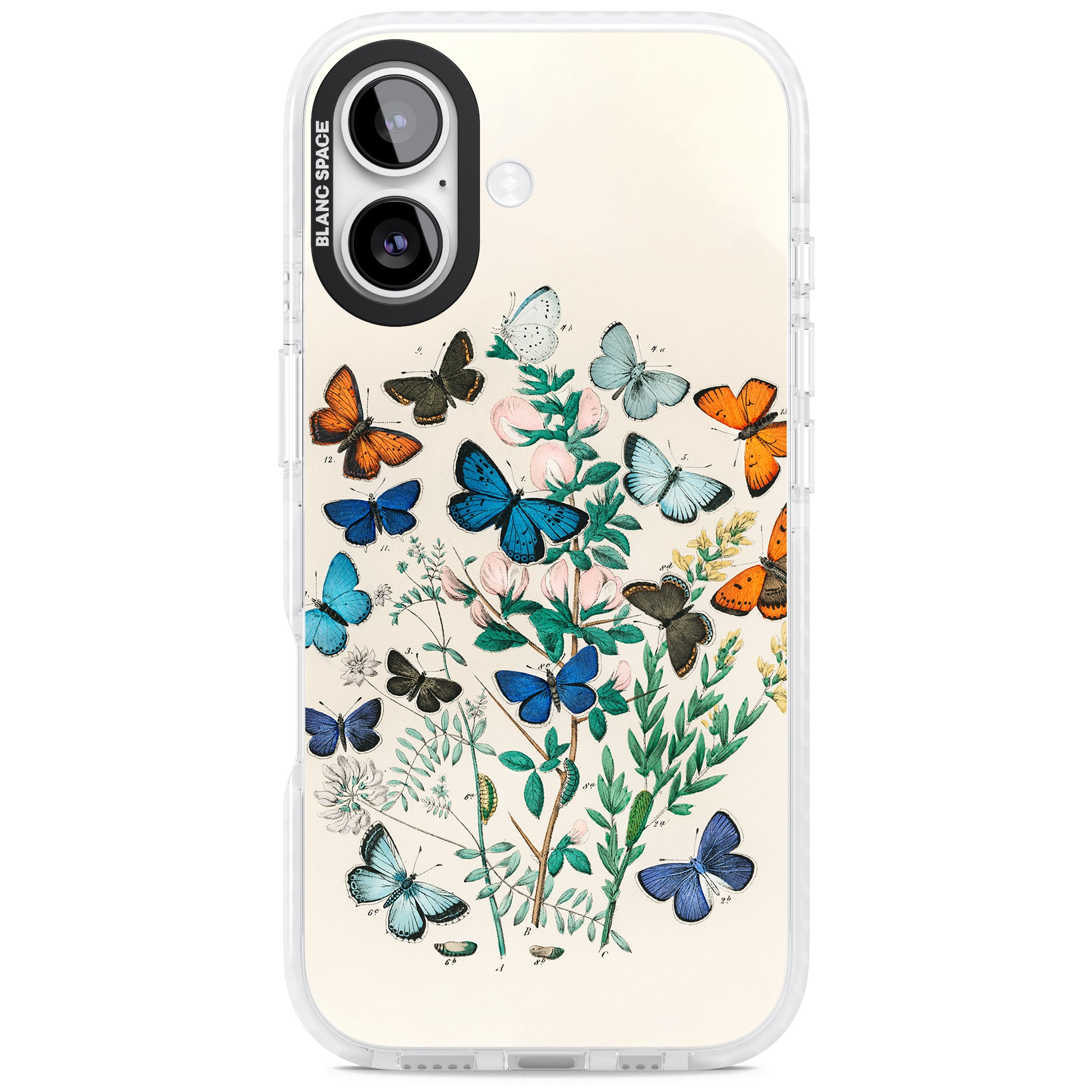 European Butterflies iPhone 17 Impact Pro Clear Phone Case