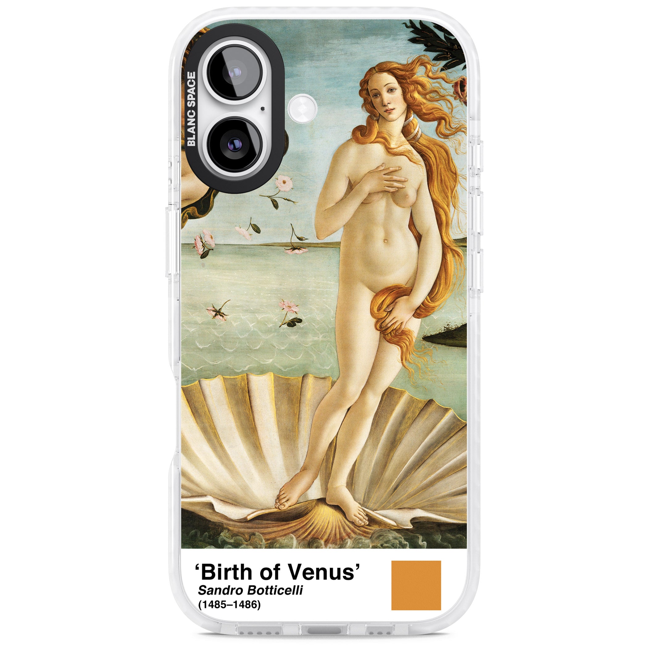 The Birth Of Venus iPhone 17 Impact Pro Clear Phone Case