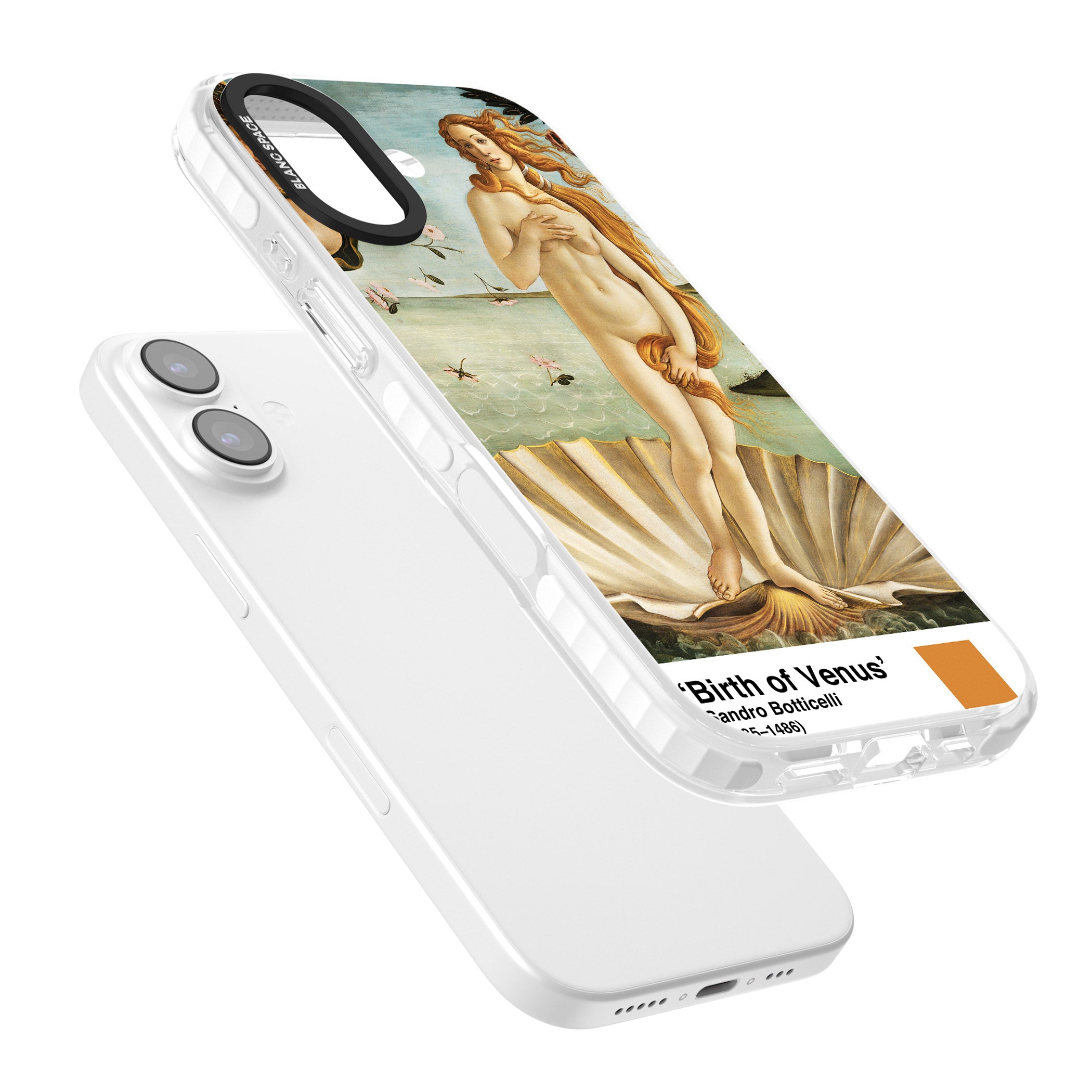 The Birth Of Venus iPhone 17 Impact Pro Clear Phone Case Colours