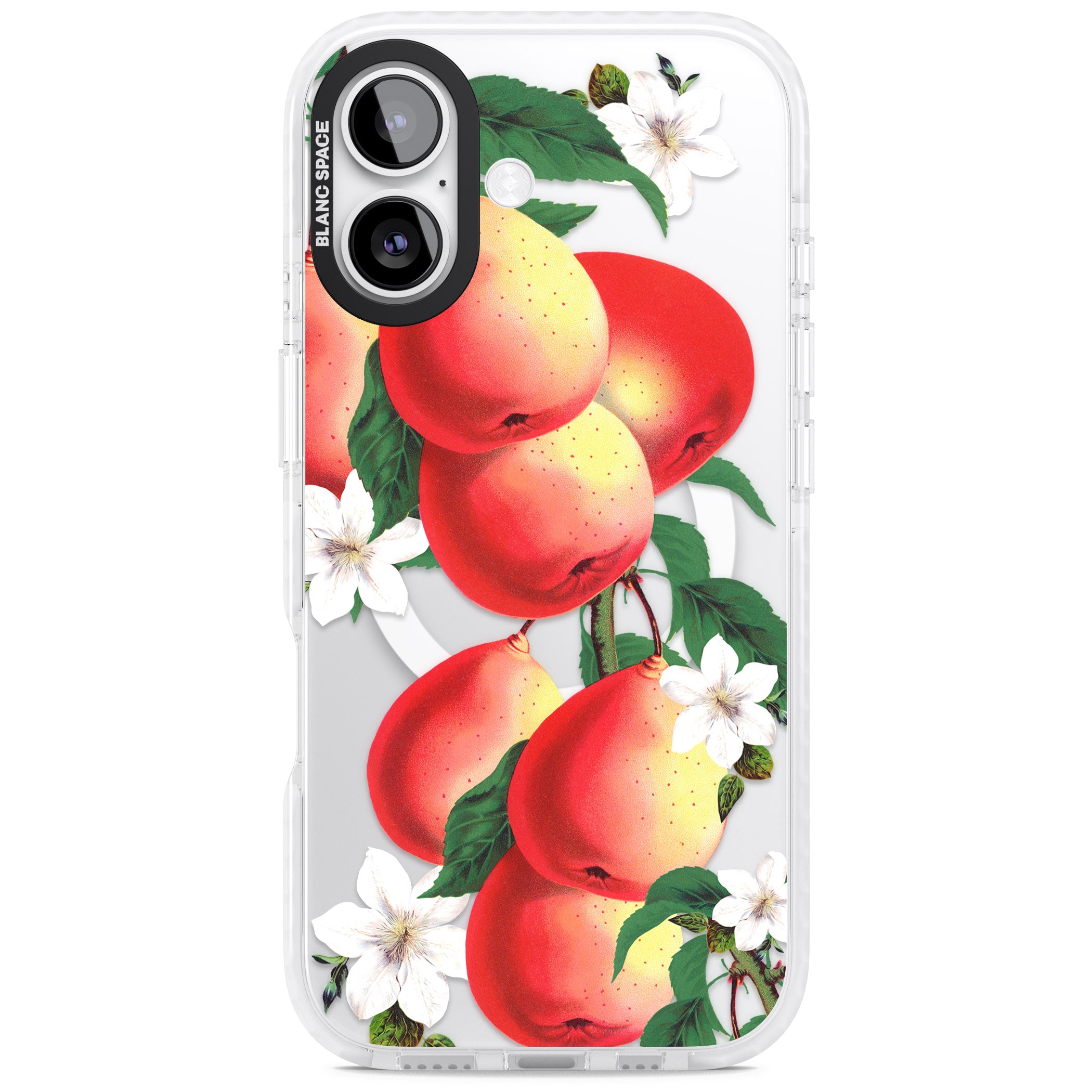 Vintage Painted Peaches iPhone 17 Impact Pro Clear Phone Case