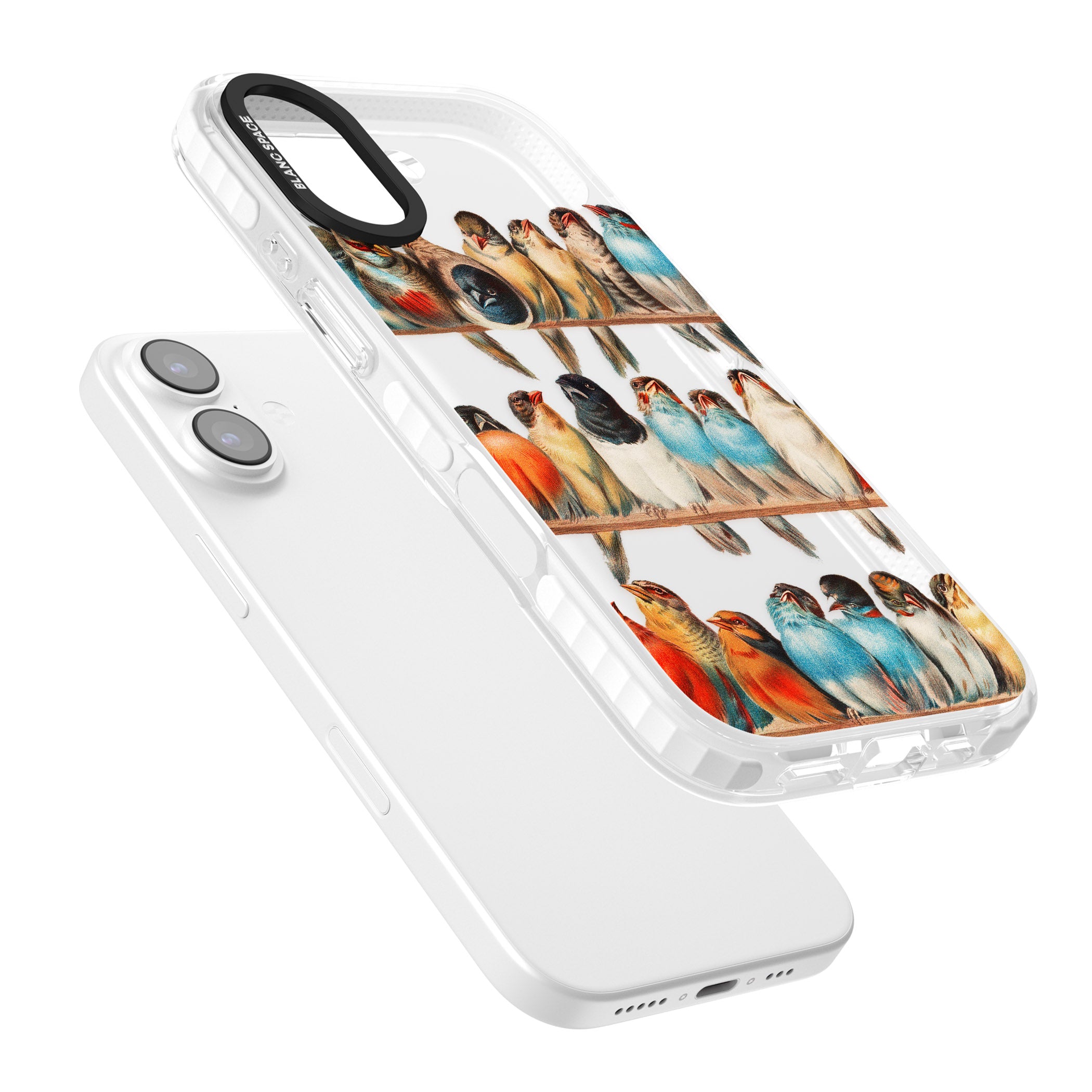 A Perch Of Birds iPhone 17 Impact Clear Phone Case Colours