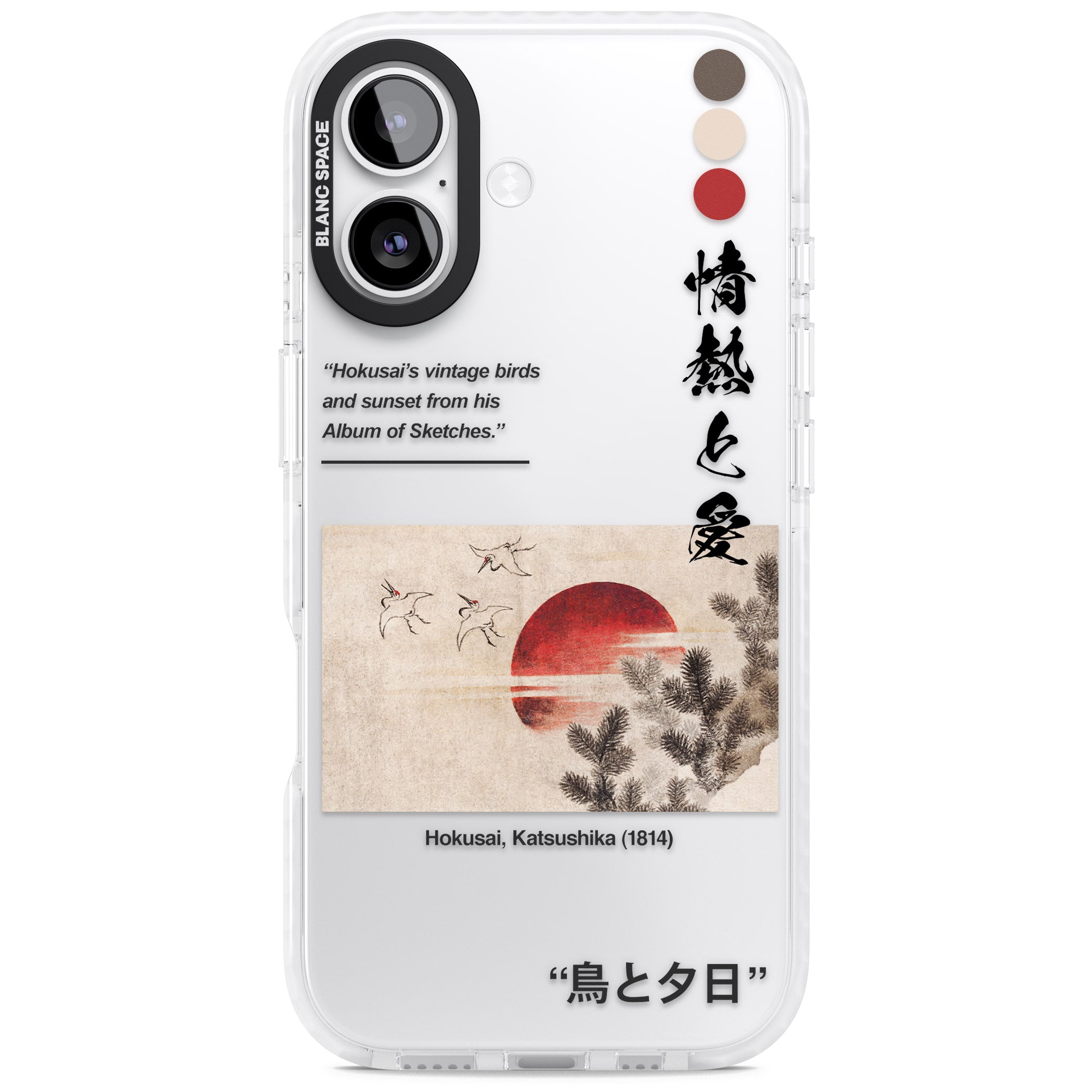 Birds And Sunset iPhone 17 Impact Clear Phone Case