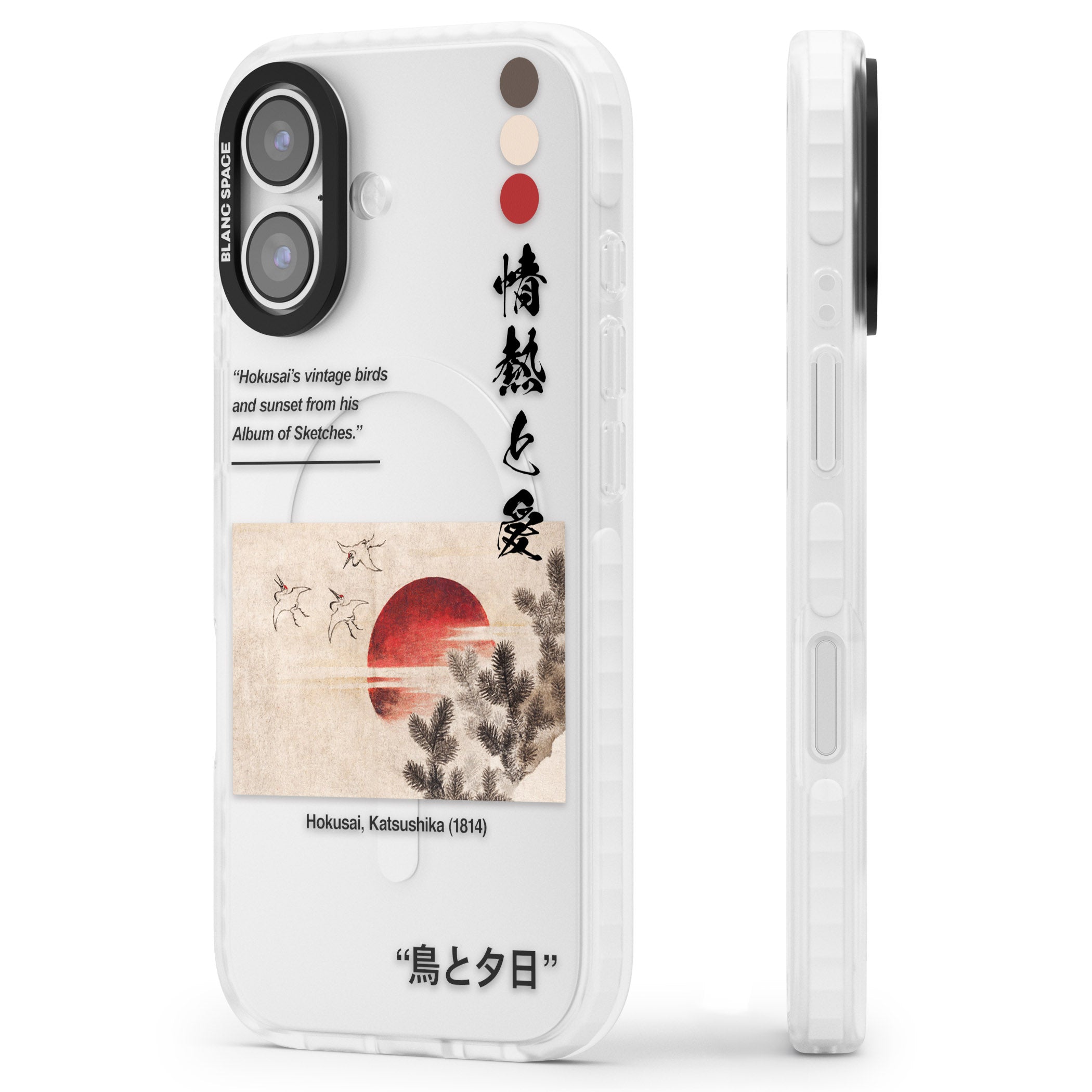 Birds And Sunset iPhone 17 Impact Clear Phone Case Side Profile