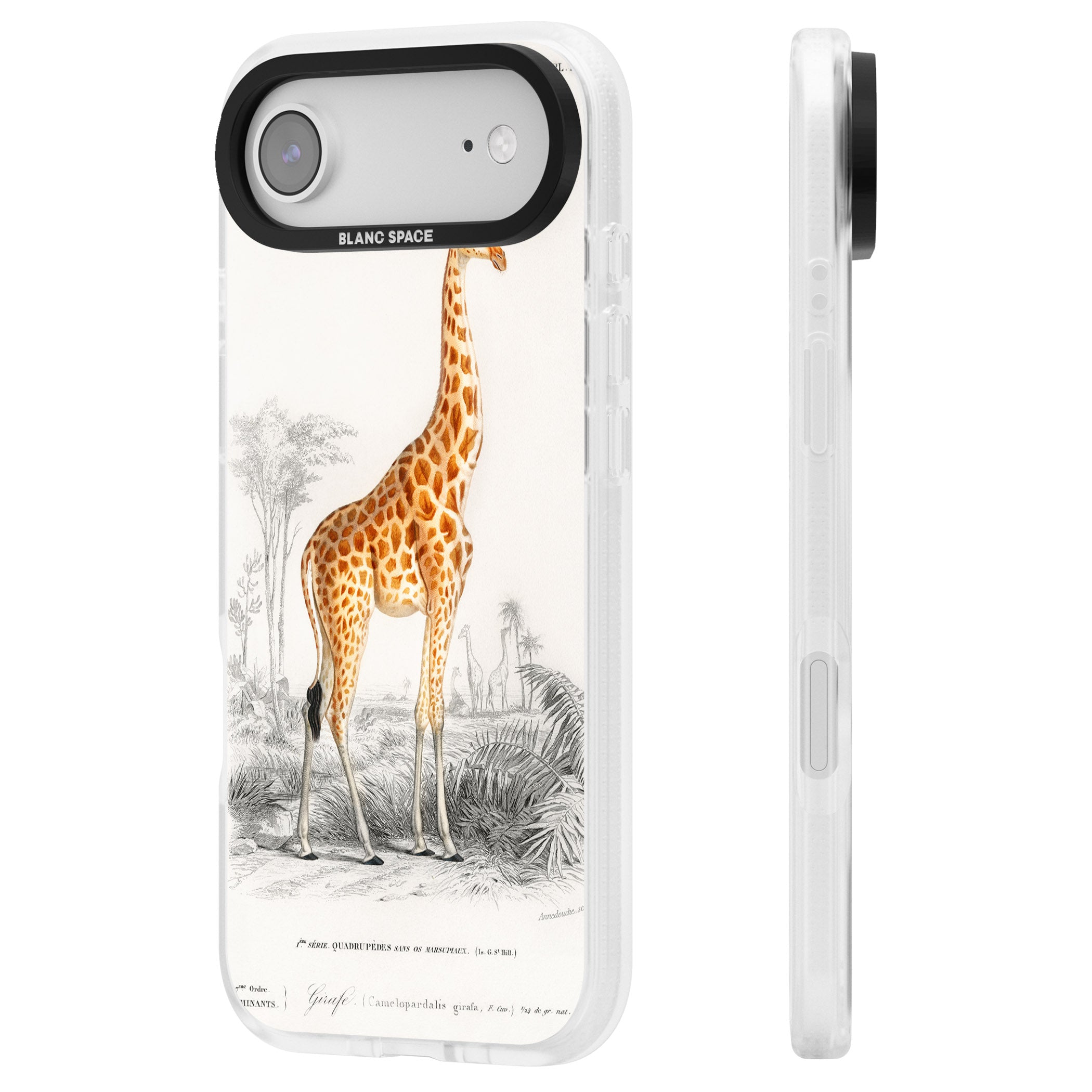 Vintage Giraffe Art iPhone 17 Air Impact Air Clear Phone Case Side Profile