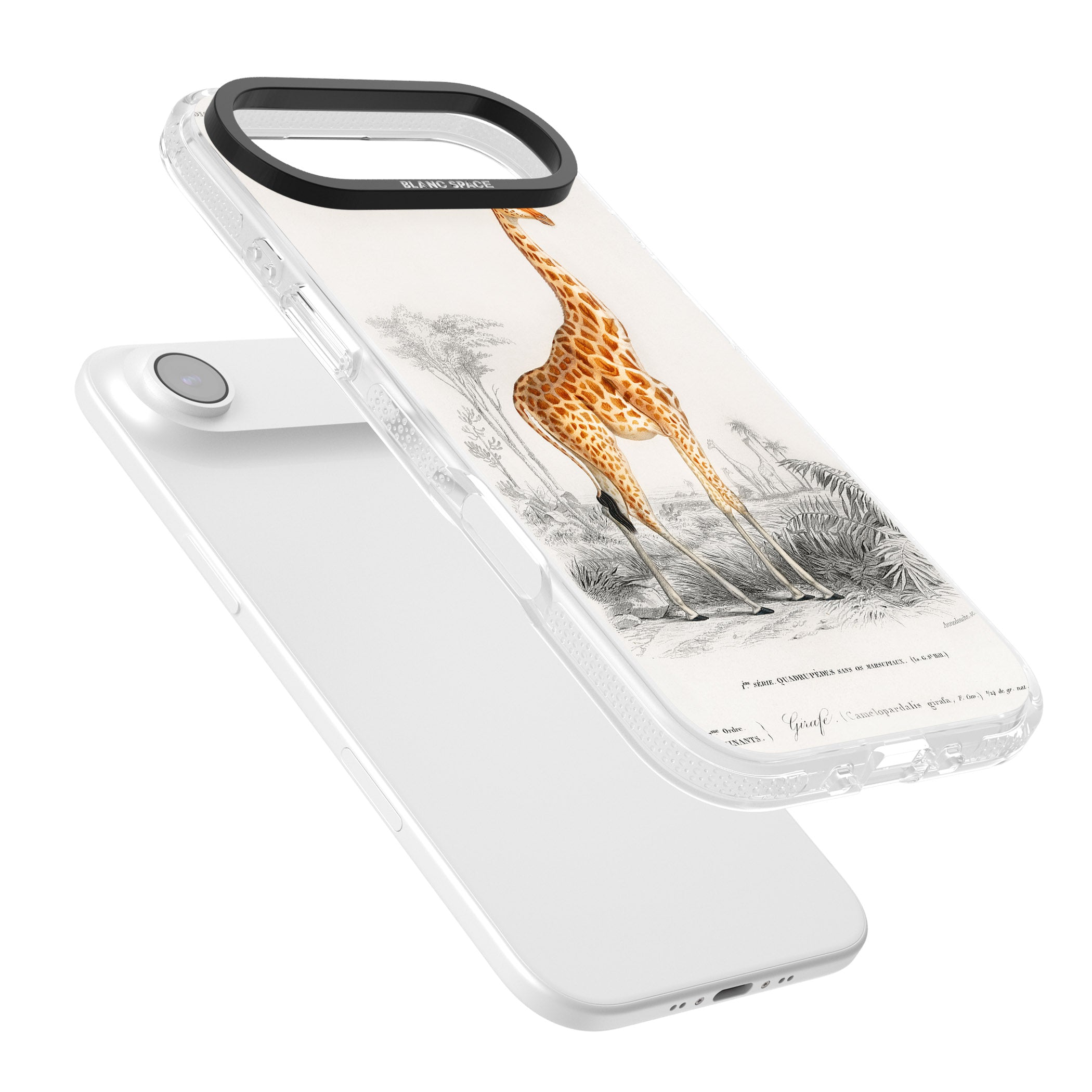 Vintage Giraffe Art iPhone 17 Air Impact Air Clear Phone Case Colours