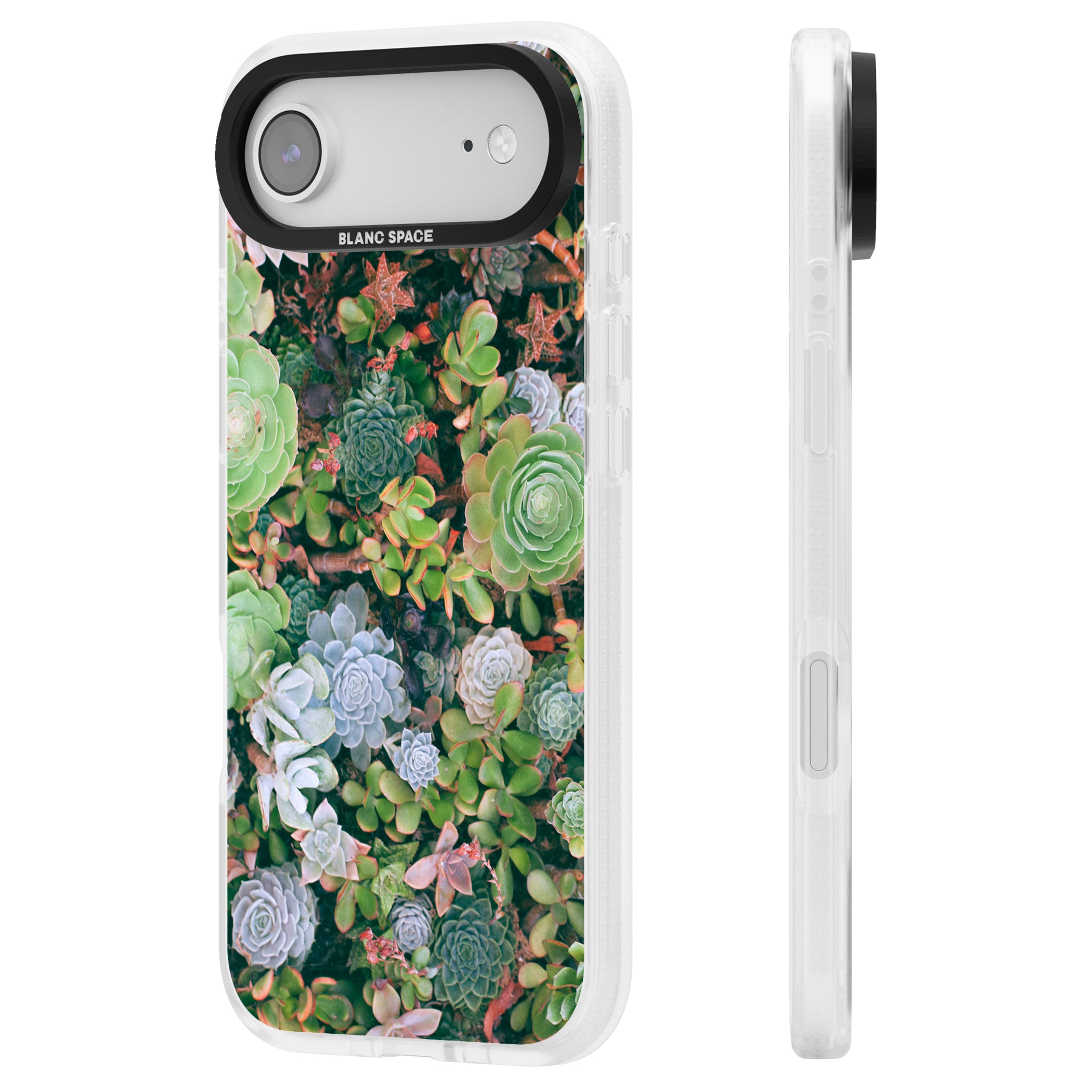 Succulent Garden iPhone 17 Air Impact Air Clear Phone Case Side Profile