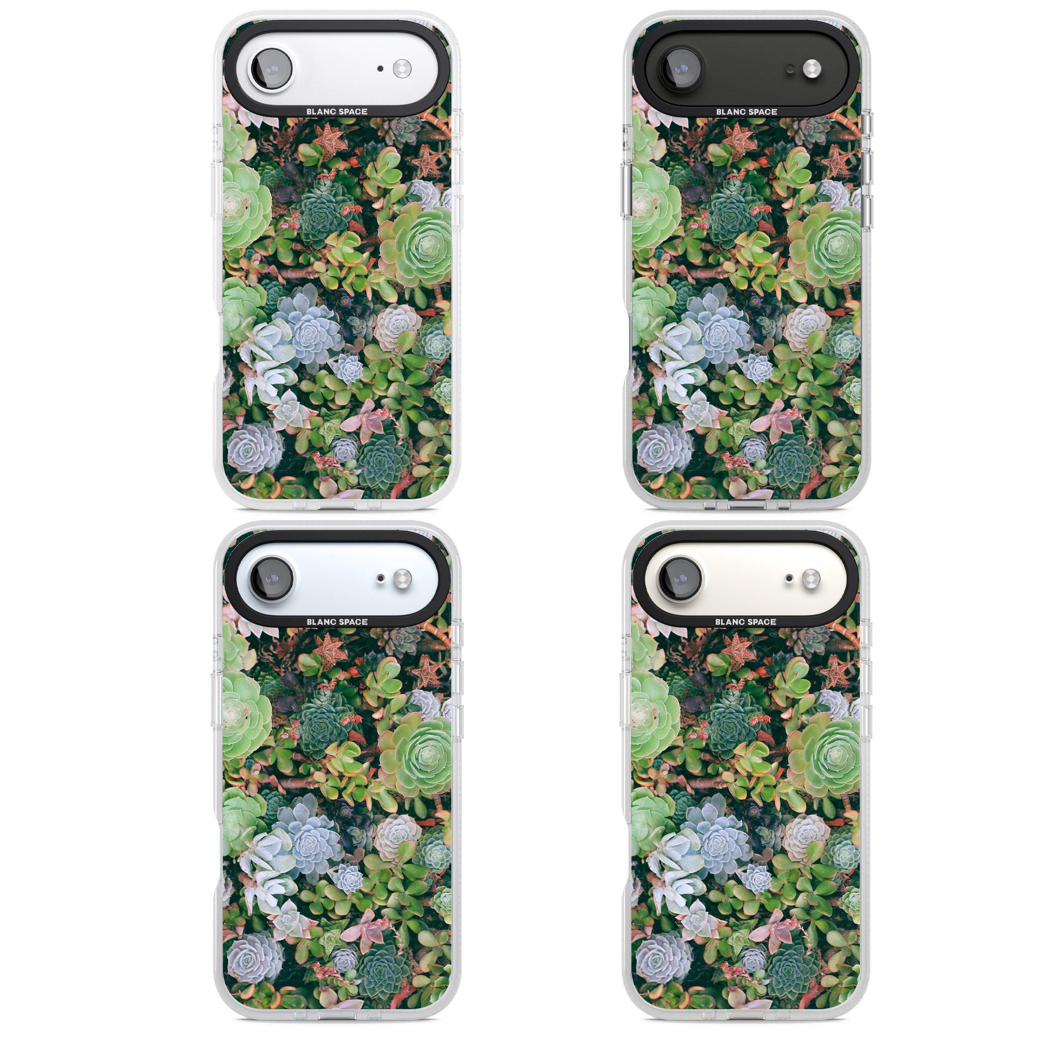 Succulent Garden iPhone 17 Air Impact Air Clear Phone Case APT Impact Protection