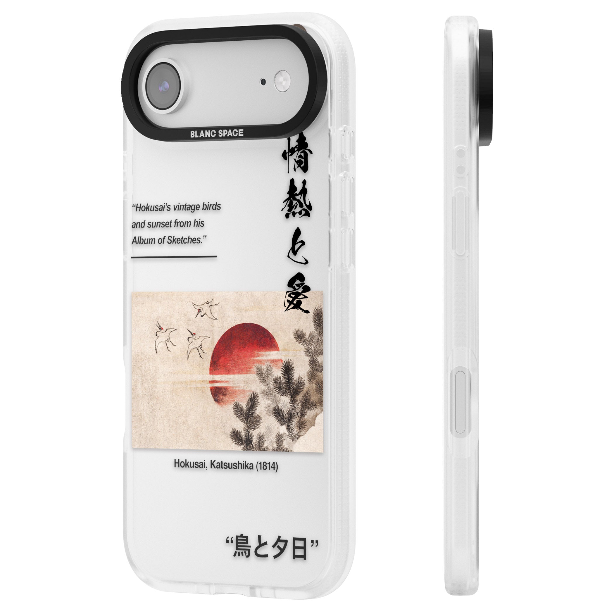 Birds And Sunset iPhone 17 Air Impact Air Clear Phone Case Side Profile