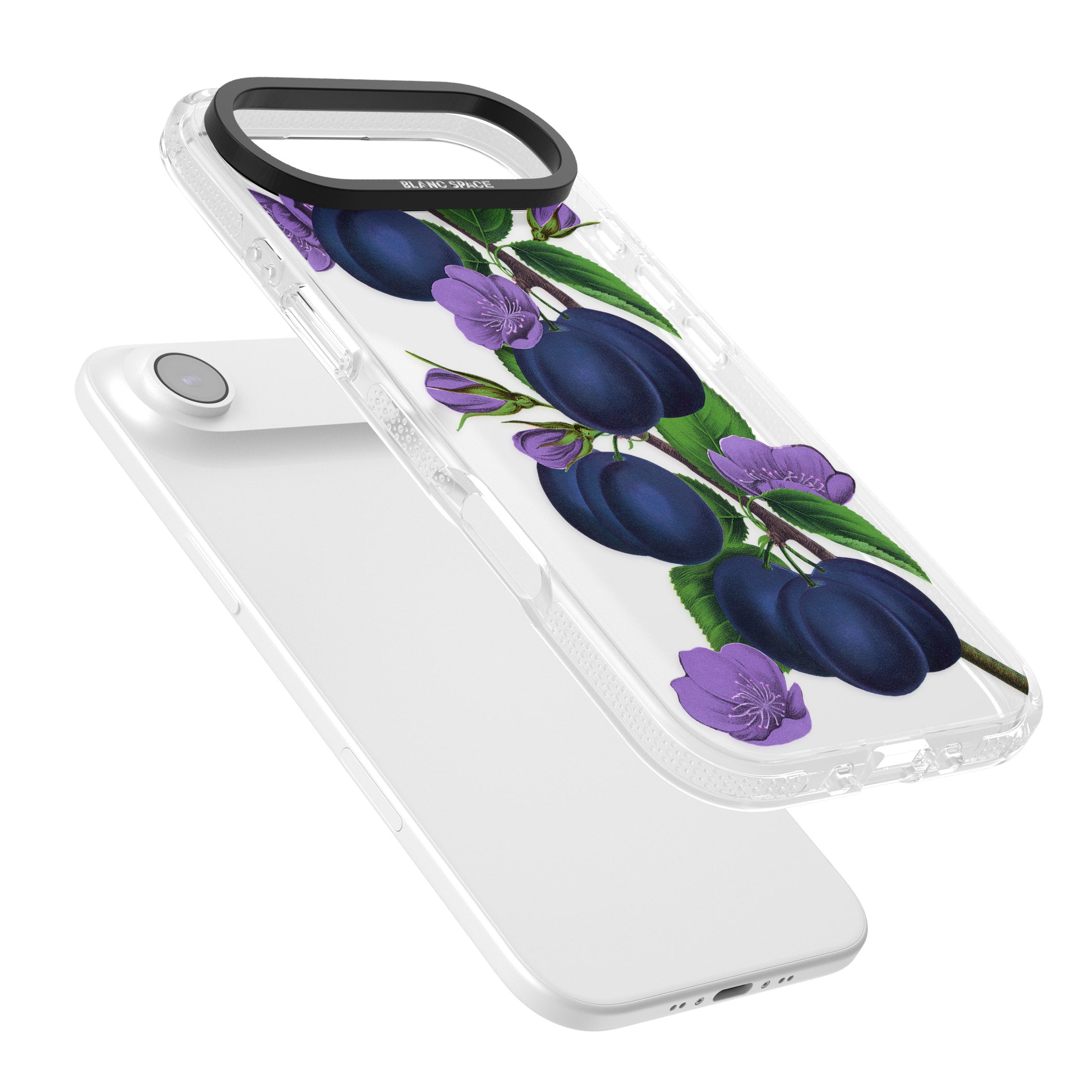 Vintage Painted Plums iPhone 17 Air Impact Air Clear Phone Case Colours