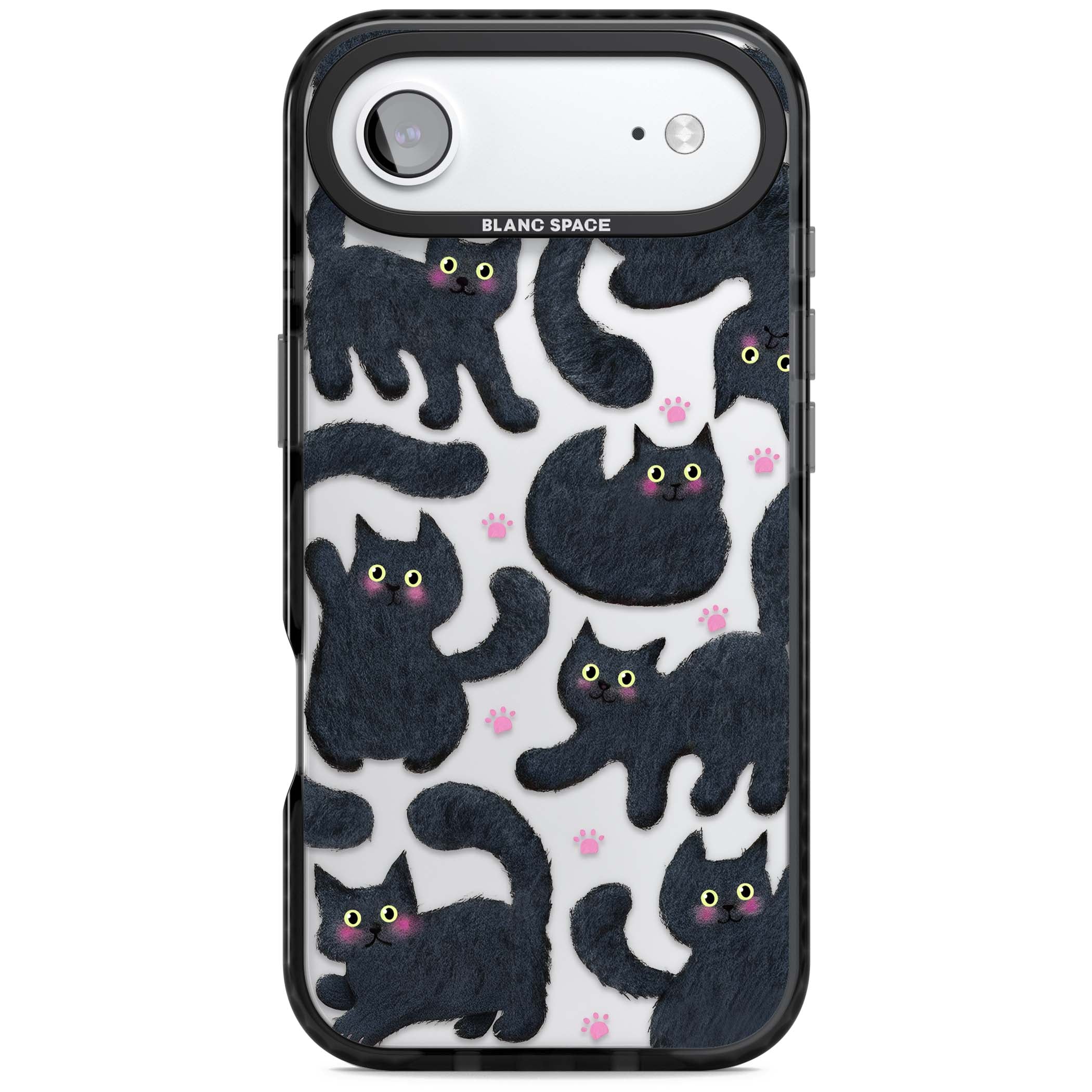 Midnight Cats