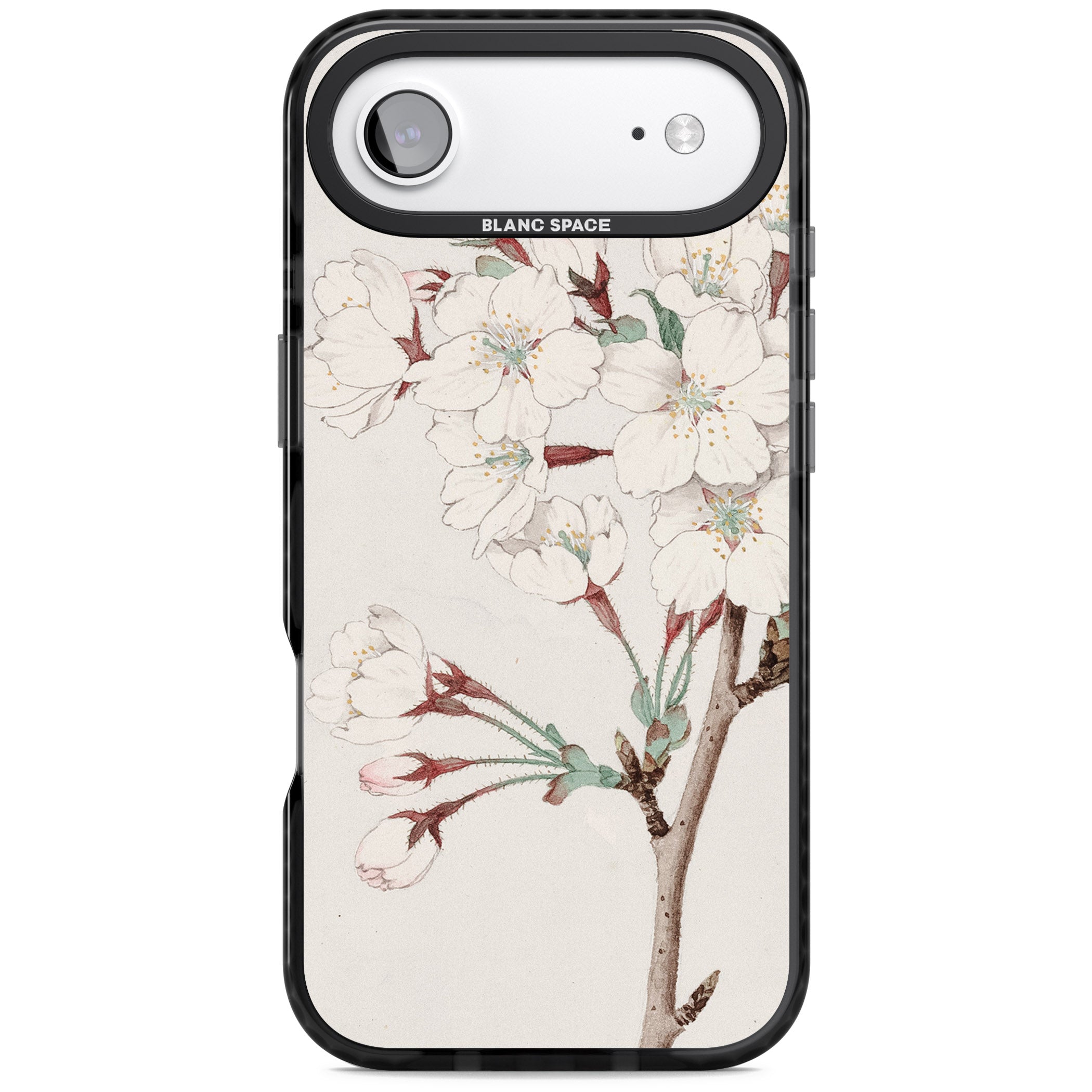 Vintage Japanese Illustrations Cherry Blossoms iPhone 17 Air Impact Pro Black Phone Case
