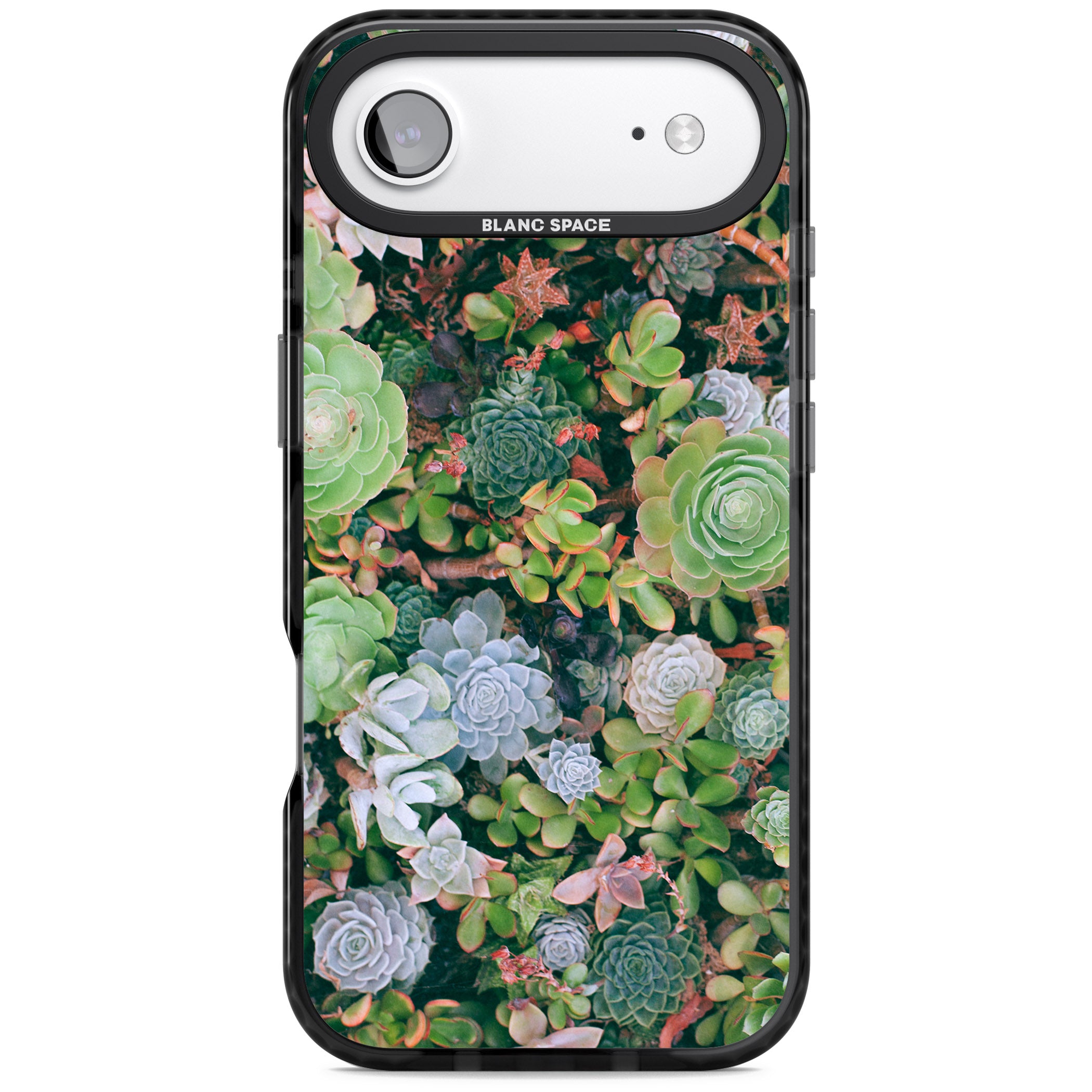 Succulent Garden iPhone 17 Air Impact Pro Black Phone Case