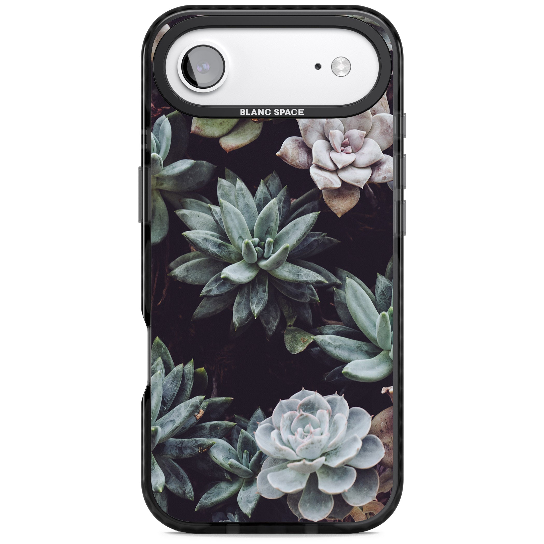 Succulent Bloom Mixed iPhone 17 Air Impact Pro Black Phone Case