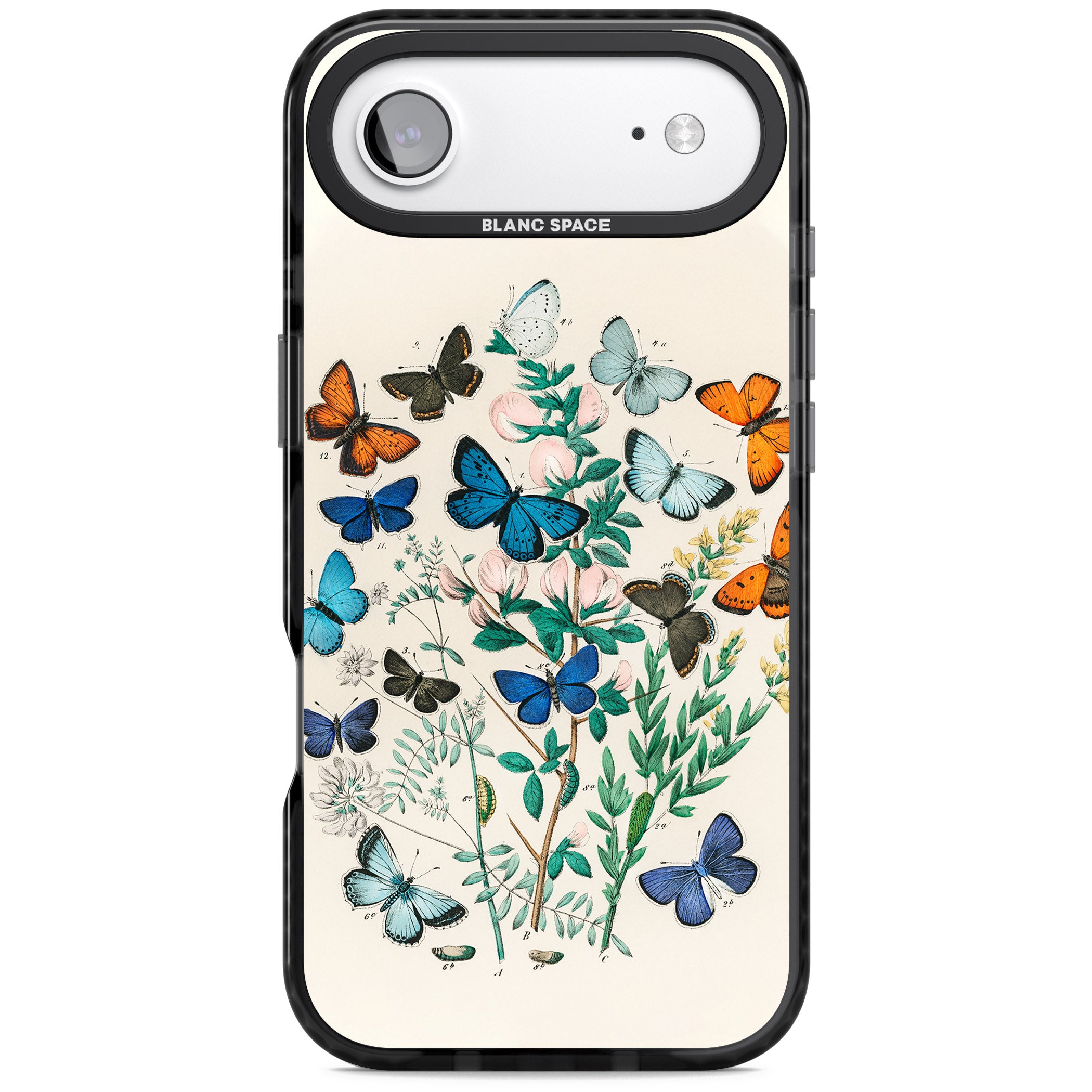 European Butterflies iPhone 17 Air Impact Pro Black Phone Case