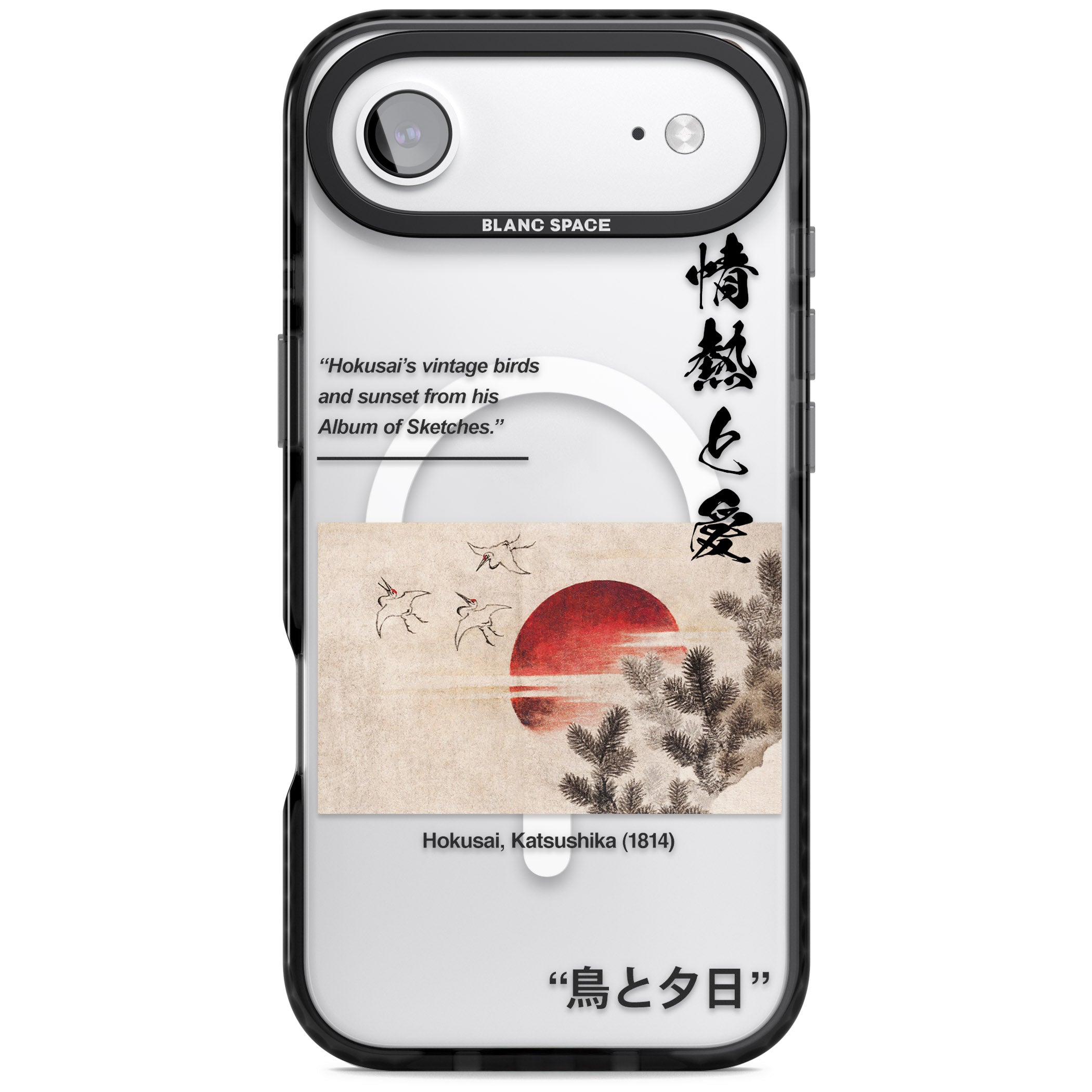 Birds And Sunset iPhone 17 Air Impact Pro Black Phone Case
