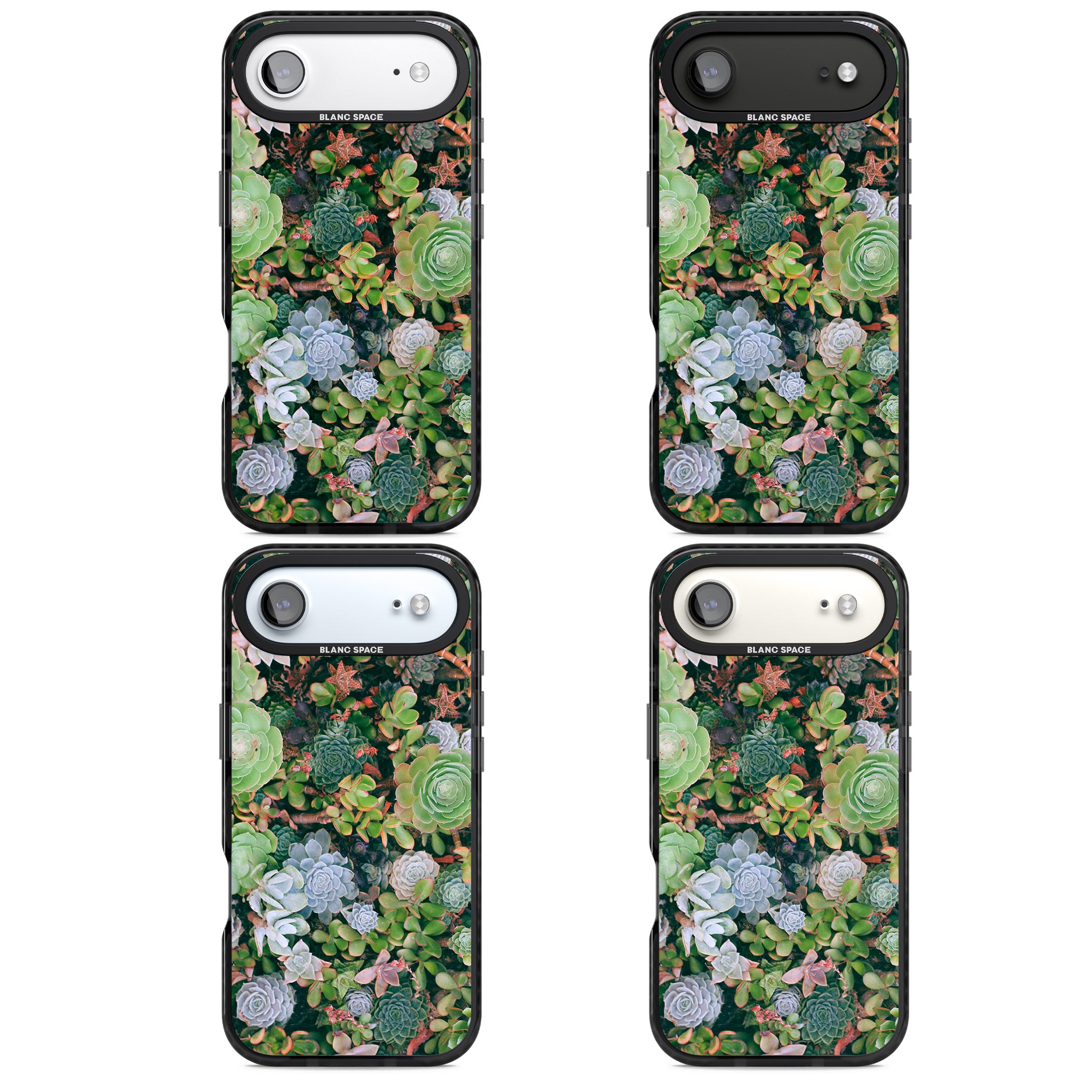 Succulent Garden iPhone 17 Air Impact Black Phone Case APT Impact Protection