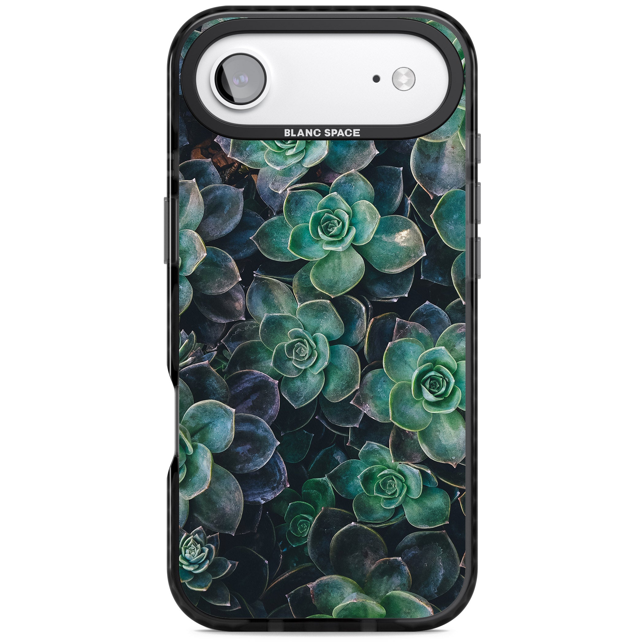 Succulent Bloom Botanical iPhone 17 Air Impact Black Phone Case
