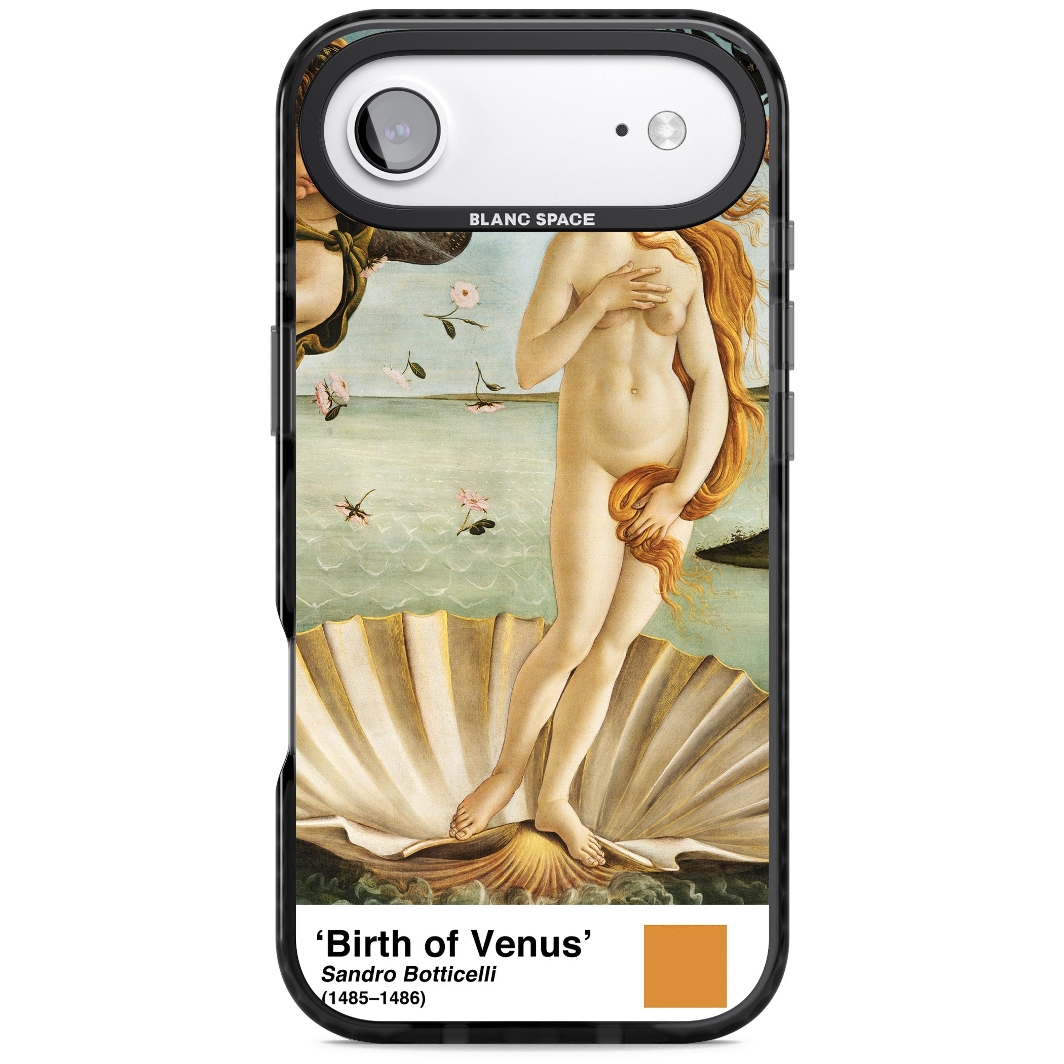 The Birth Of Venus iPhone 17 Air Impact Black Phone Case