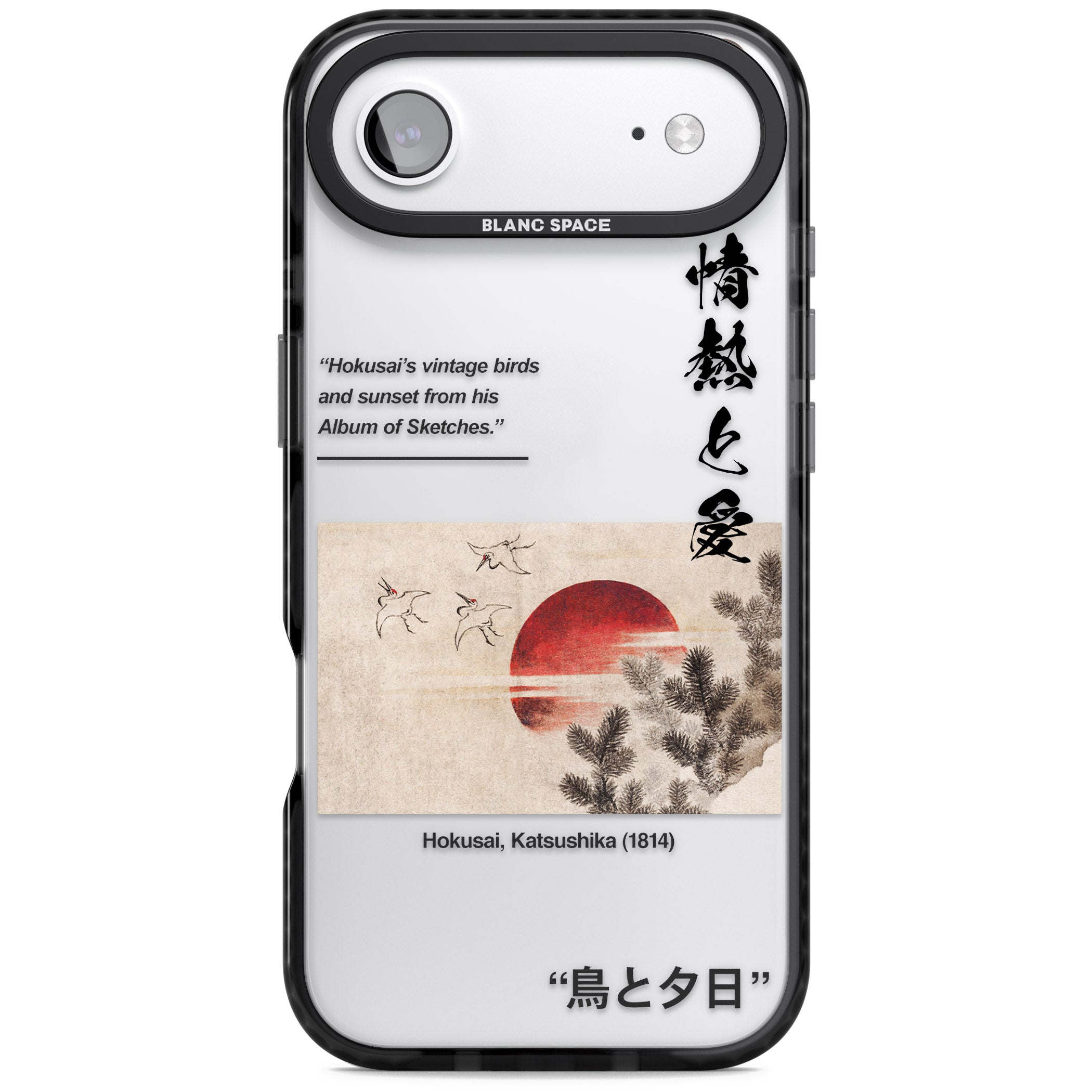 Birds And Sunset iPhone 17 Air Impact Black Phone Case