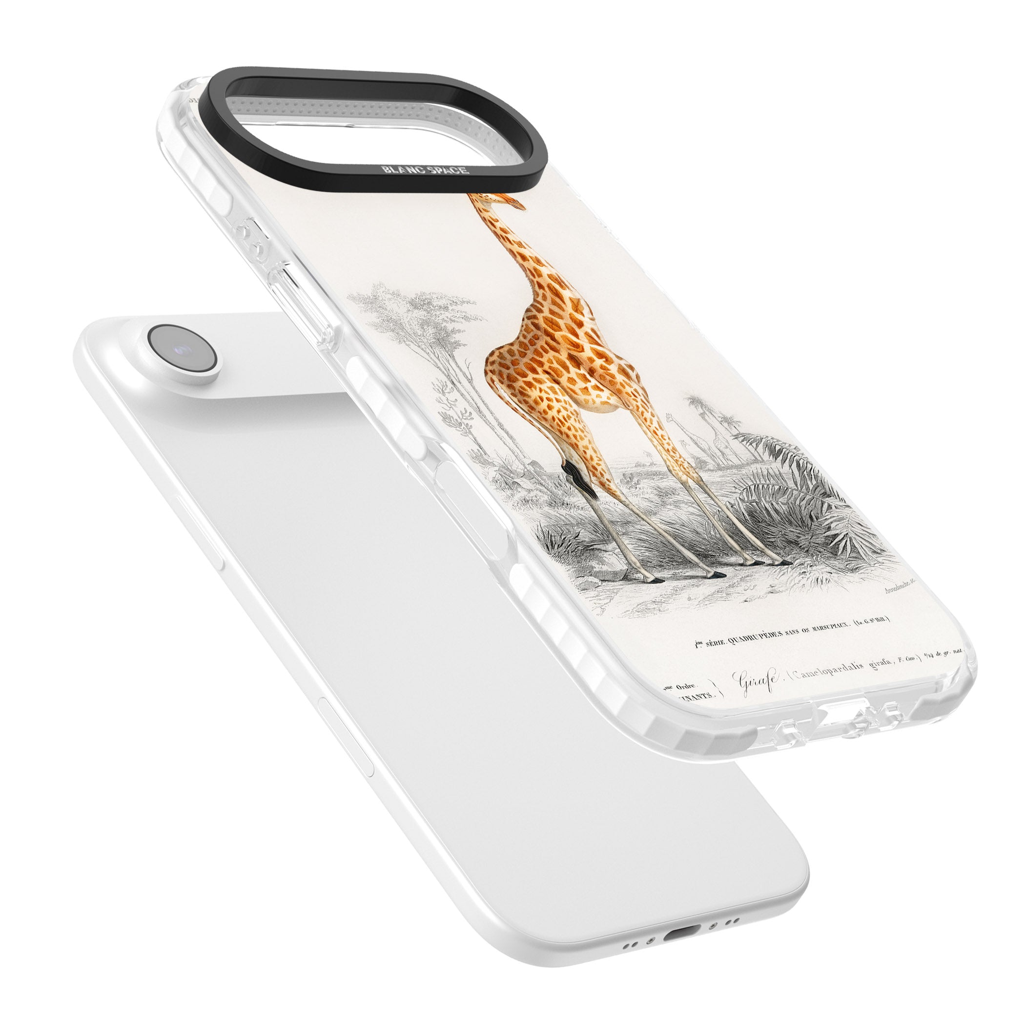 Vintage Giraffe Art iPhone 17 Air Impact Clear Phone Case Colours
