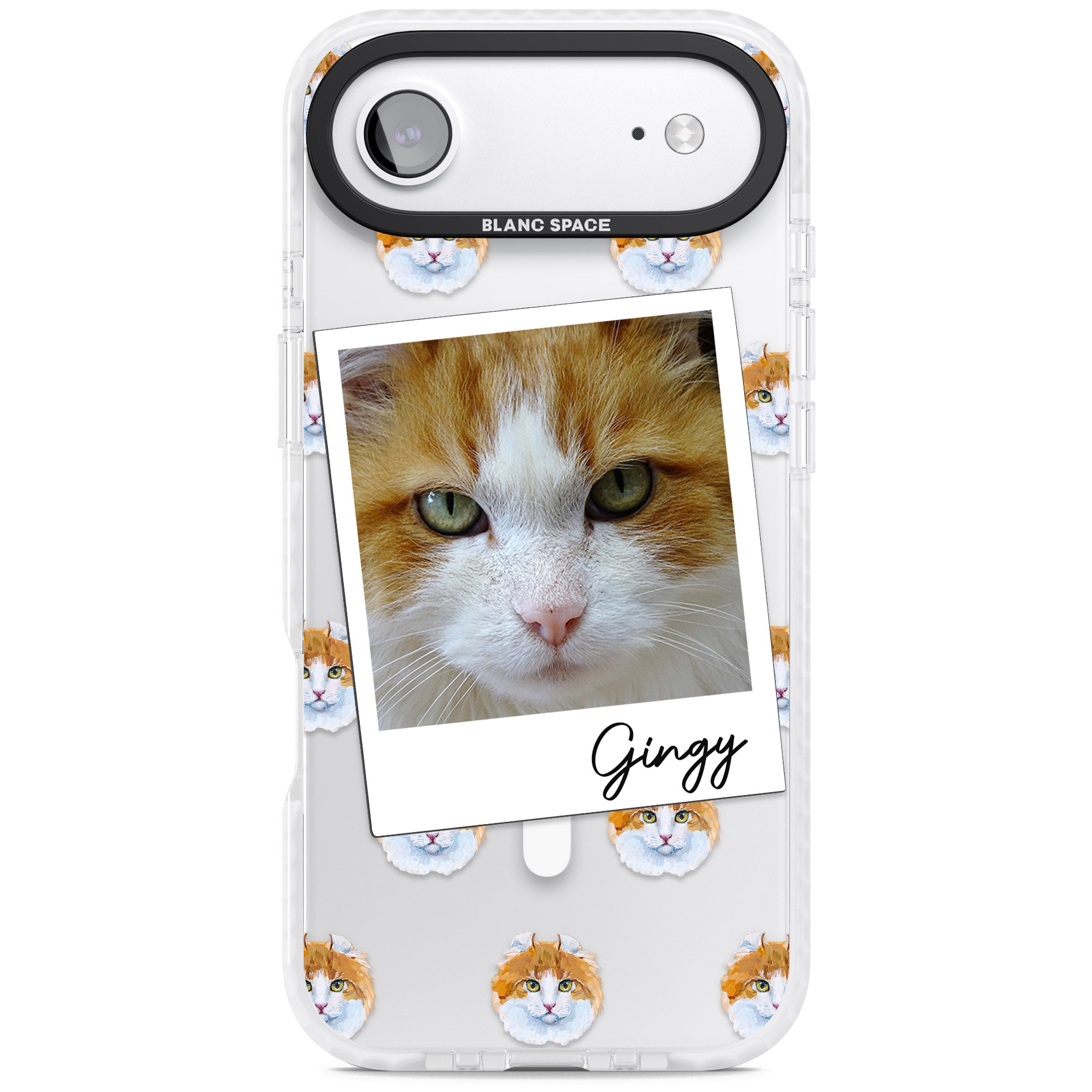 Personalised American Curl Photo iPhone 17 Air Impact Pro Clear Phone Case