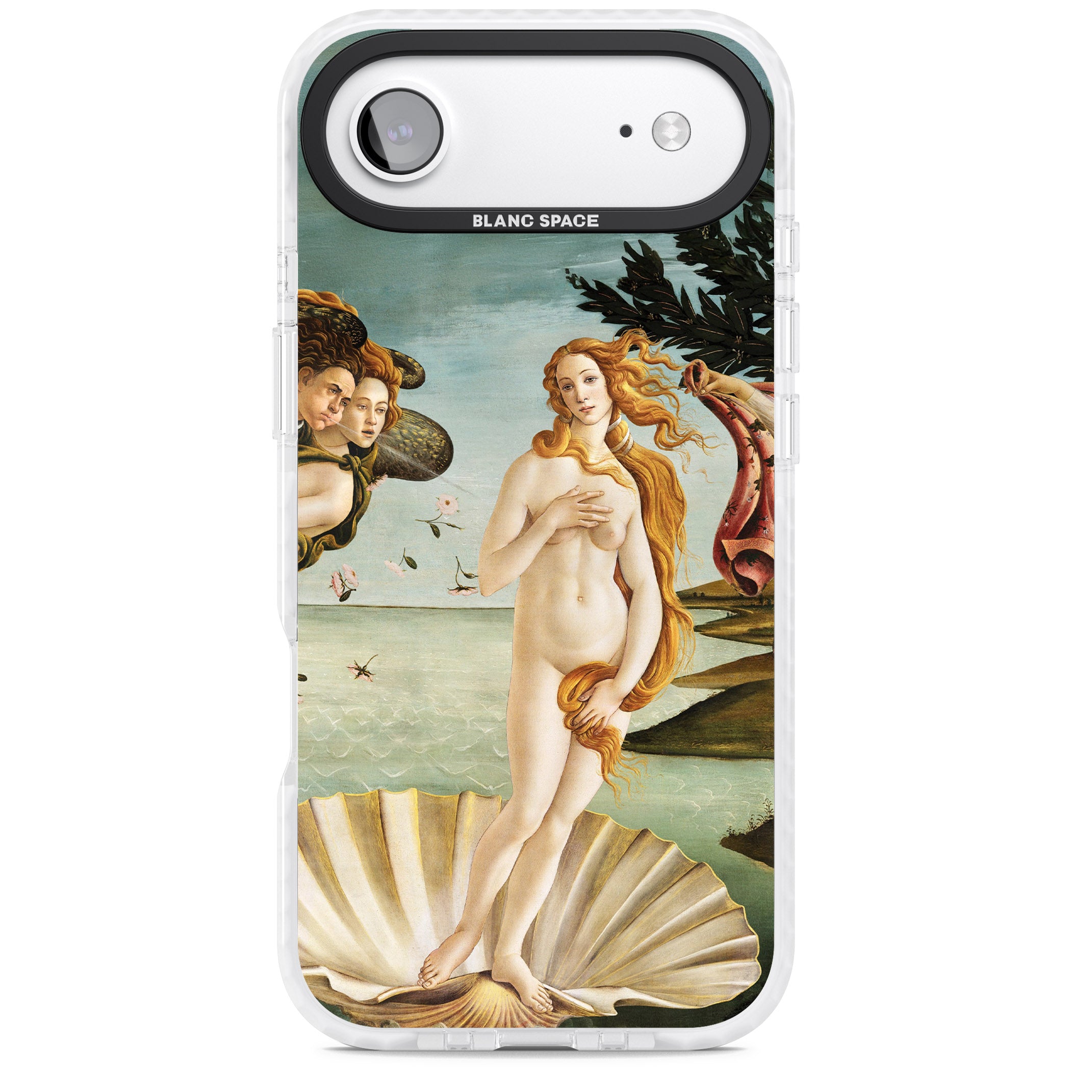 The Birth of Venus - Sandro Botticelli iPhone 17 Air Impact Pro Clear Phone Case
